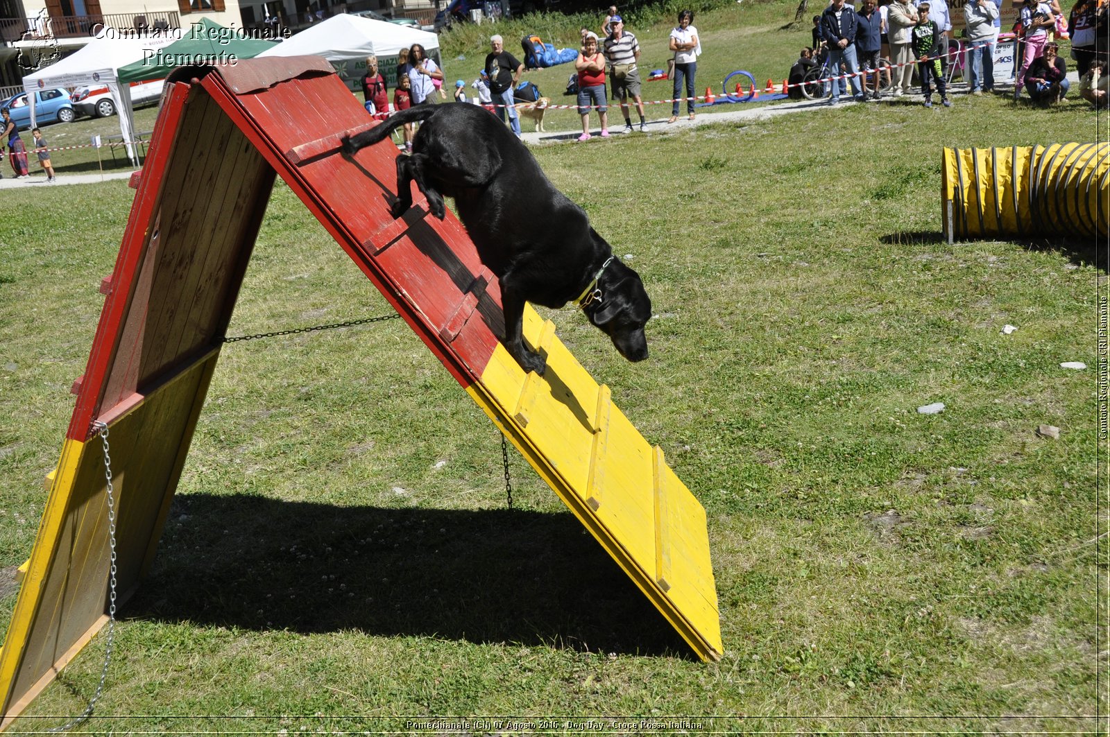 Pontechianale (CN) 7 Agosto 2016 - Dog Day - Croce Rossa Italiana - Comitato Regionale del Piemonte