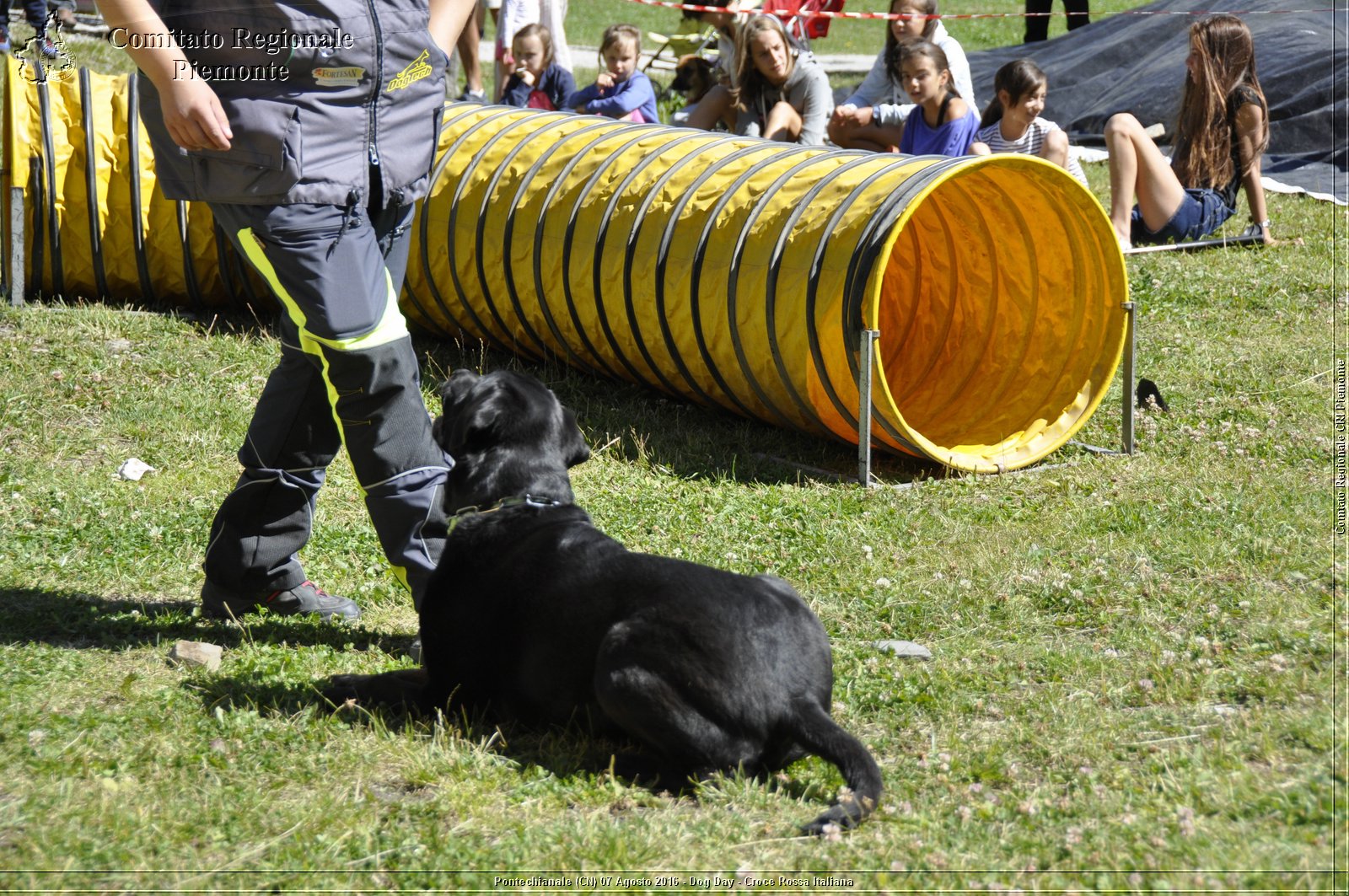 Pontechianale (CN) 7 Agosto 2016 - Dog Day - Croce Rossa Italiana - Comitato Regionale del Piemonte