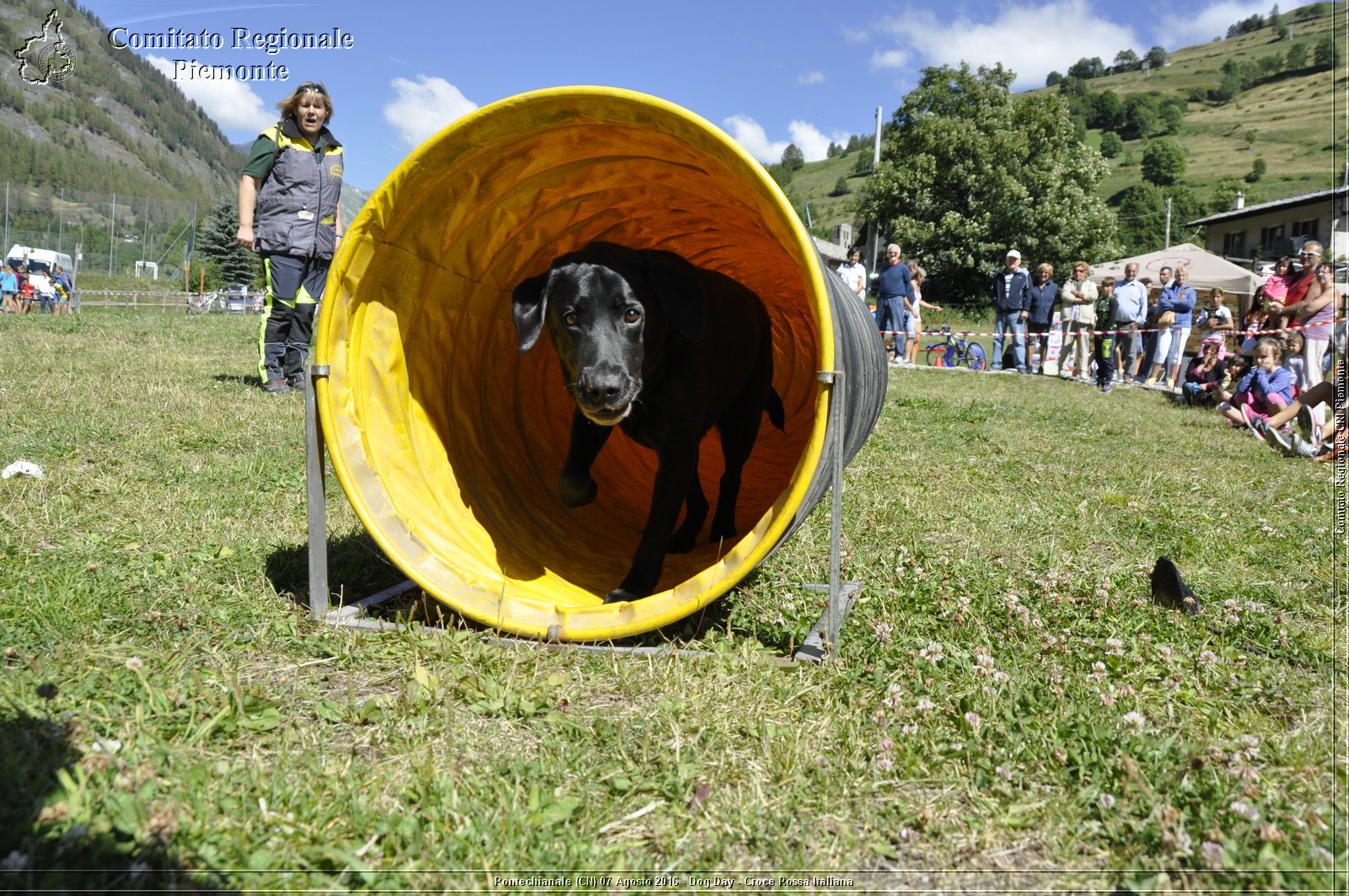 Pontechianale (CN) 7 Agosto 2016 - Dog Day - Croce Rossa Italiana - Comitato Regionale del Piemonte