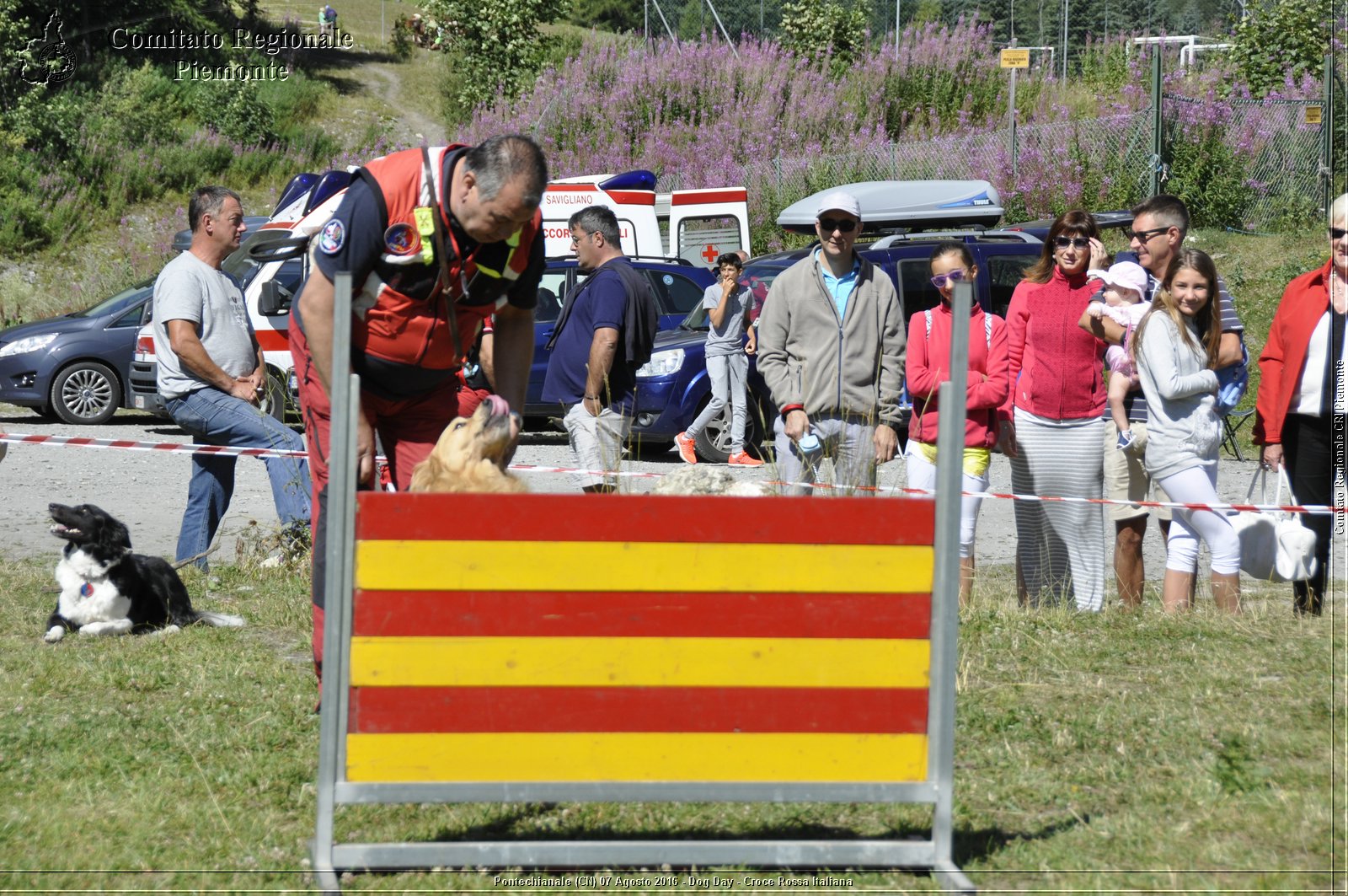 Pontechianale (CN) 7 Agosto 2016 - Dog Day - Croce Rossa Italiana - Comitato Regionale del Piemonte