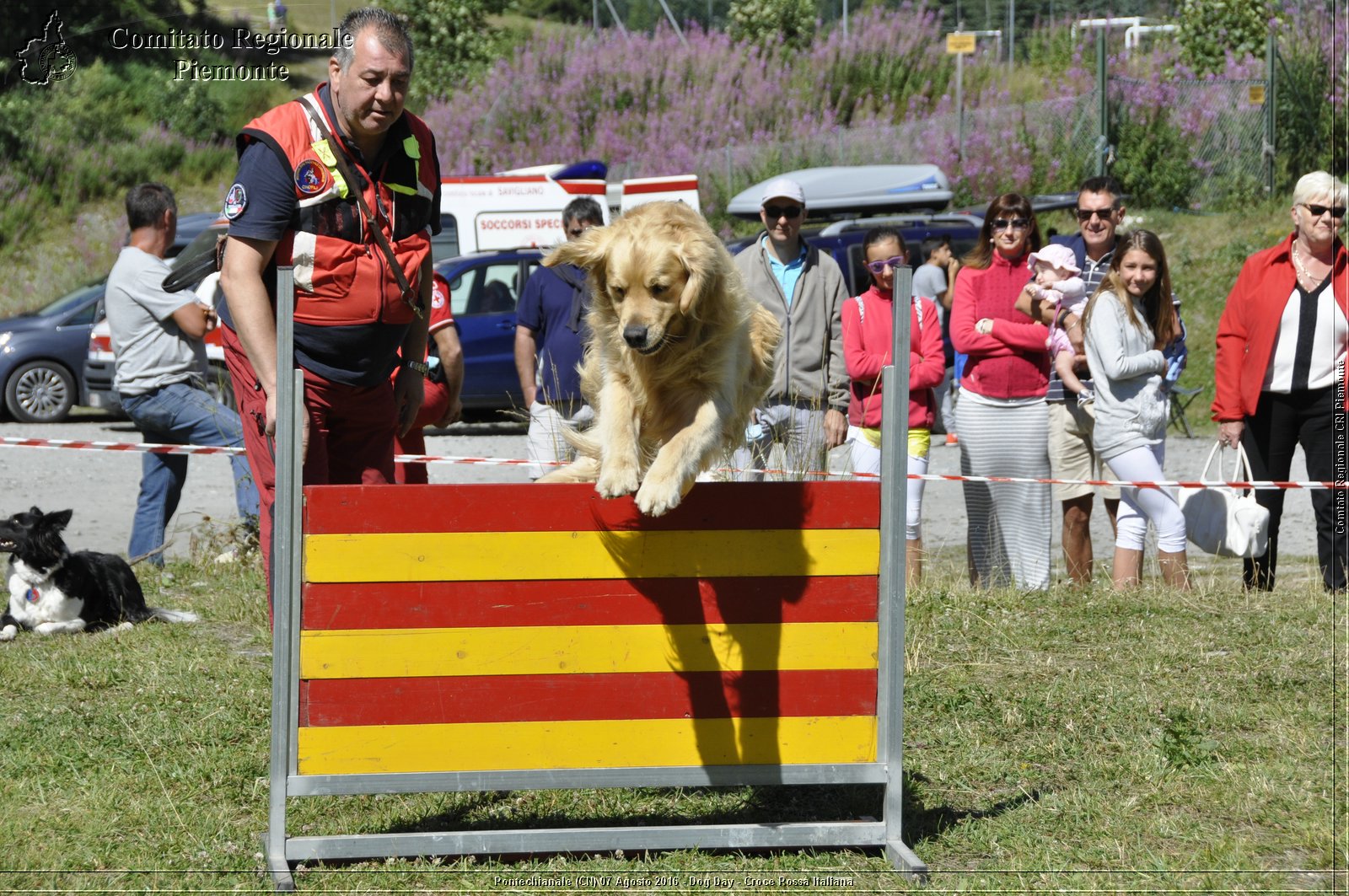 Pontechianale (CN) 7 Agosto 2016 - Dog Day - Croce Rossa Italiana - Comitato Regionale del Piemonte