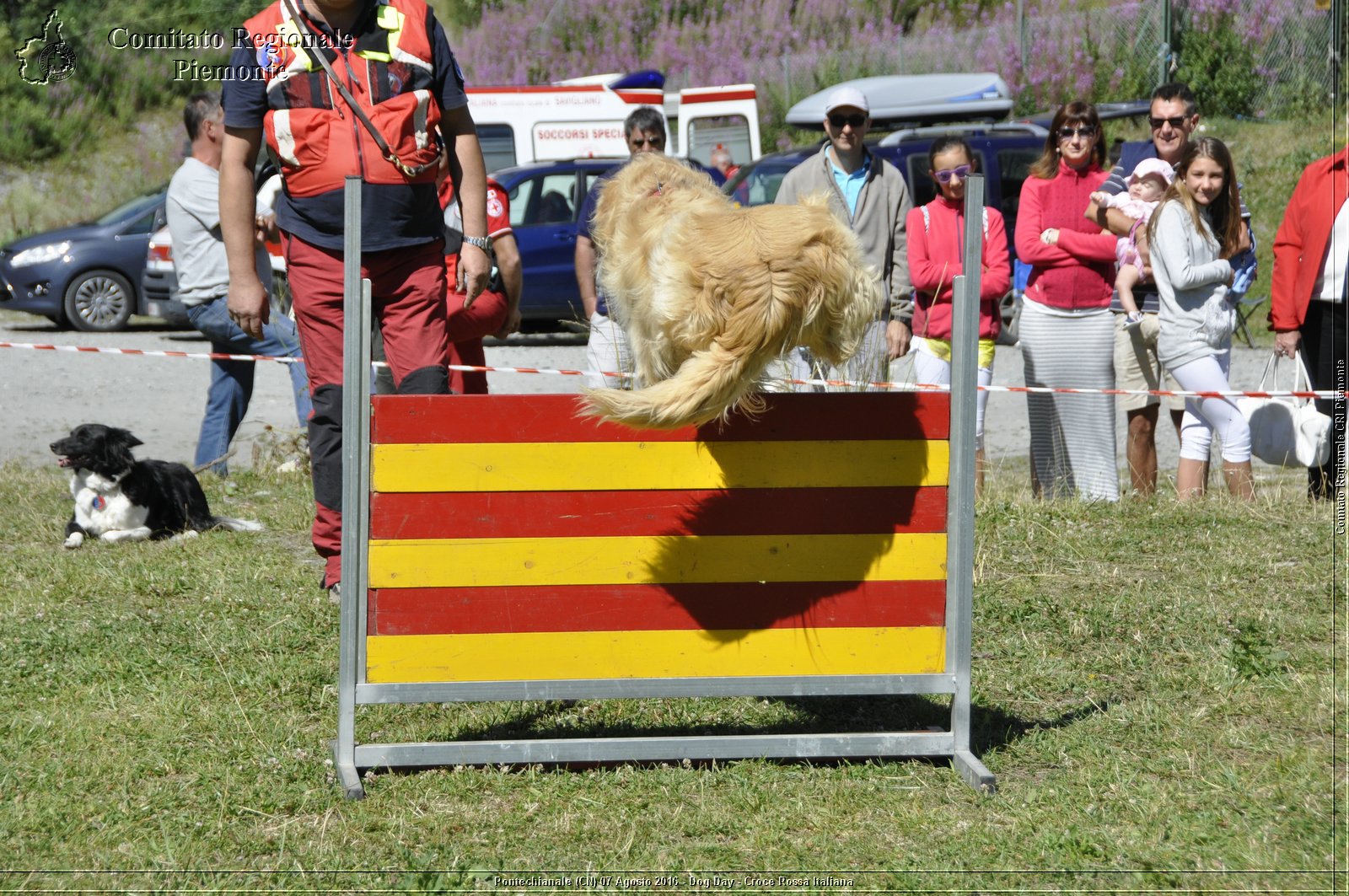 Pontechianale (CN) 7 Agosto 2016 - Dog Day - Croce Rossa Italiana - Comitato Regionale del Piemonte