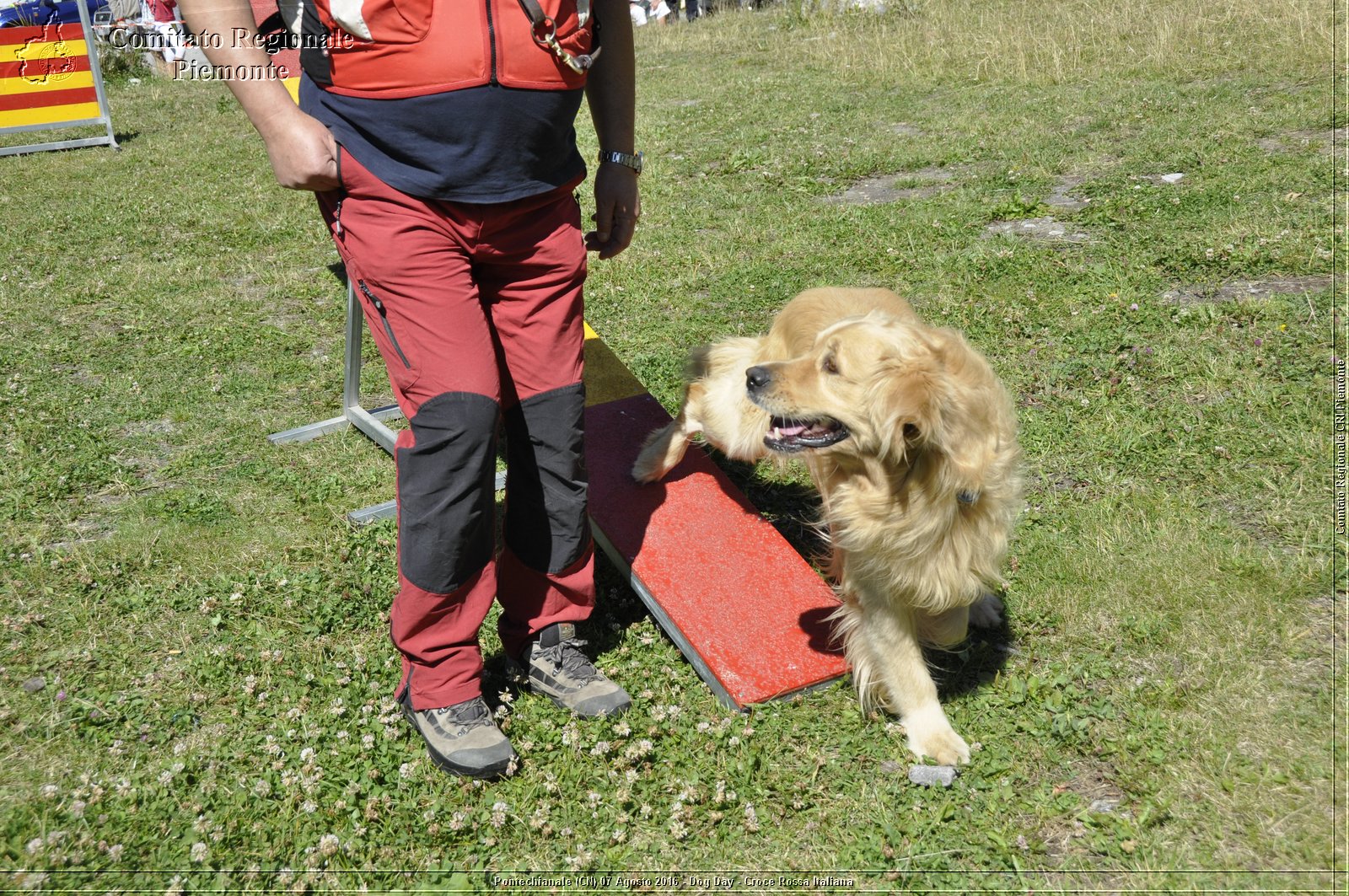 Pontechianale (CN) 7 Agosto 2016 - Dog Day - Croce Rossa Italiana - Comitato Regionale del Piemonte