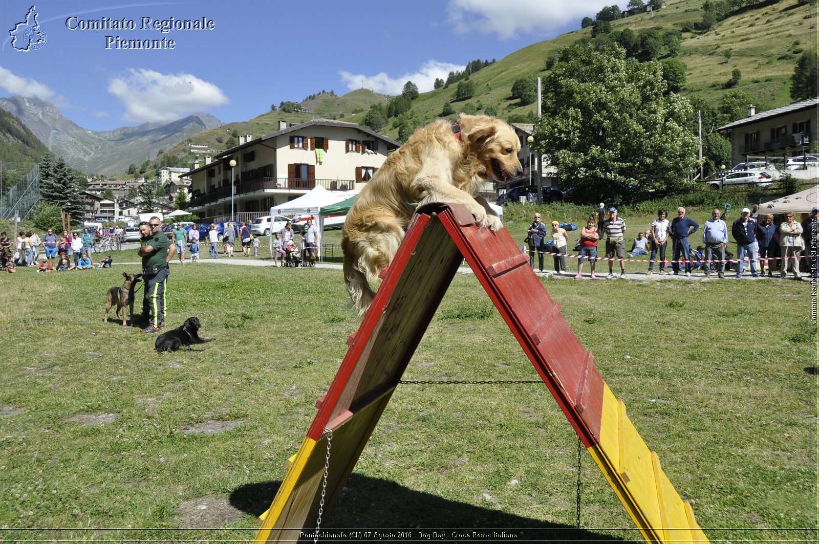 Pontechianale (CN) 7 Agosto 2016 - Dog Day - Croce Rossa Italiana - Comitato Regionale del Piemonte