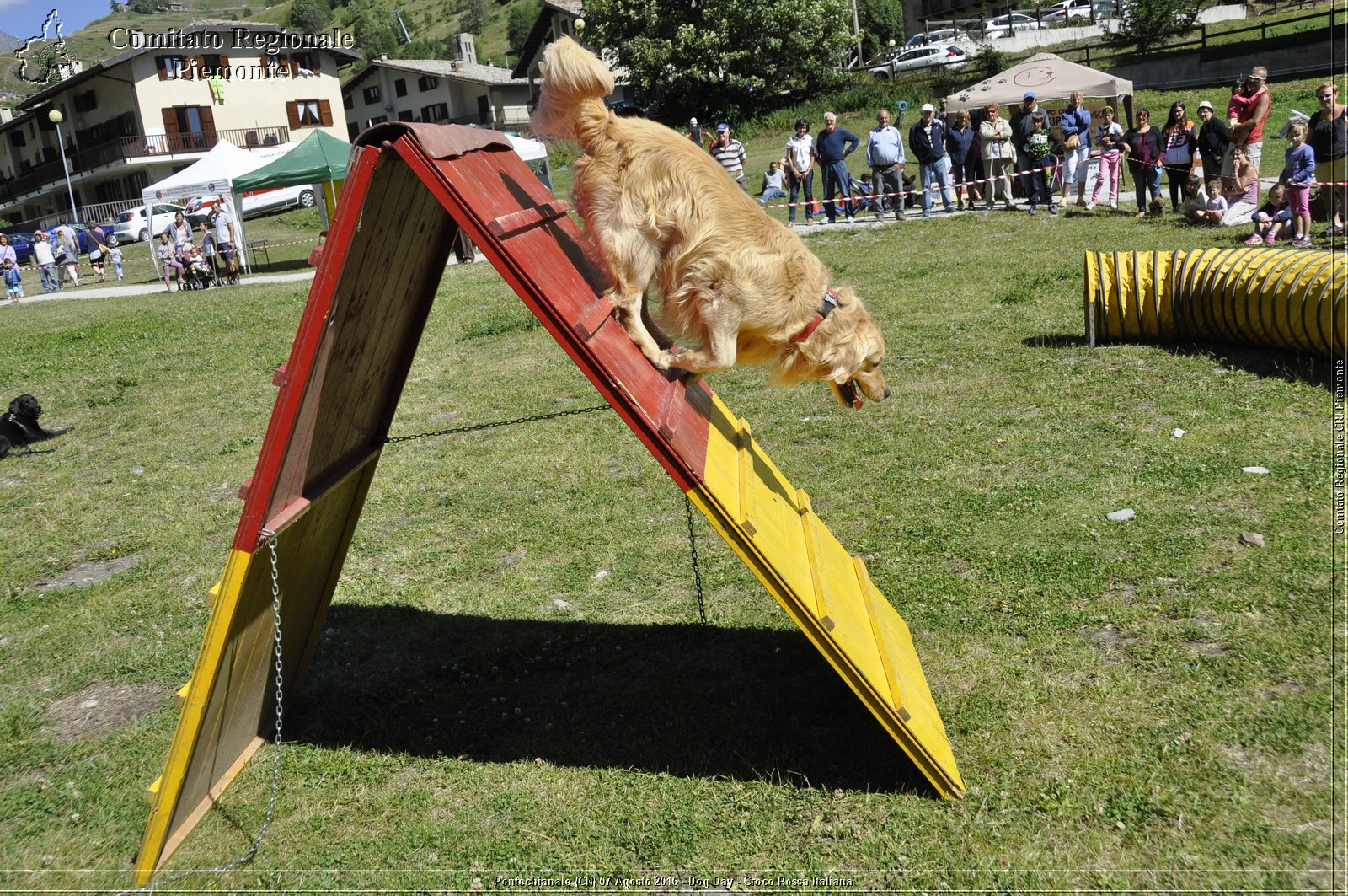 Pontechianale (CN) 7 Agosto 2016 - Dog Day - Croce Rossa Italiana - Comitato Regionale del Piemonte