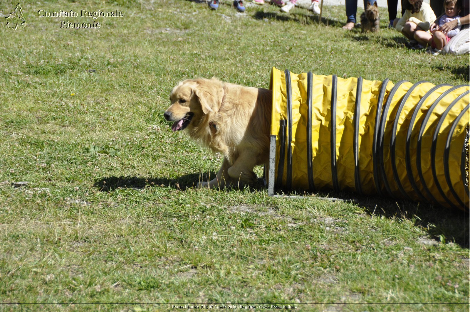 Pontechianale (CN) 7 Agosto 2016 - Dog Day - Croce Rossa Italiana - Comitato Regionale del Piemonte