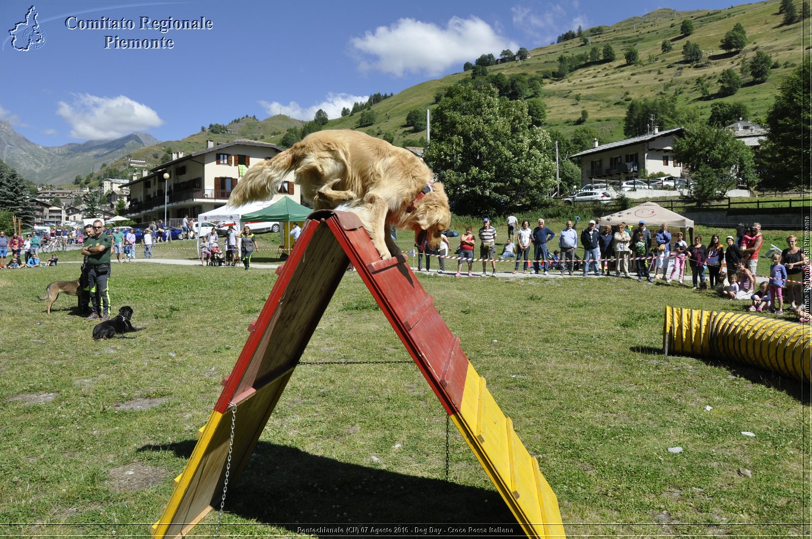 Pontechianale (CN) 7 Agosto 2016 - Dog Day - Croce Rossa Italiana - Comitato Regionale del Piemonte