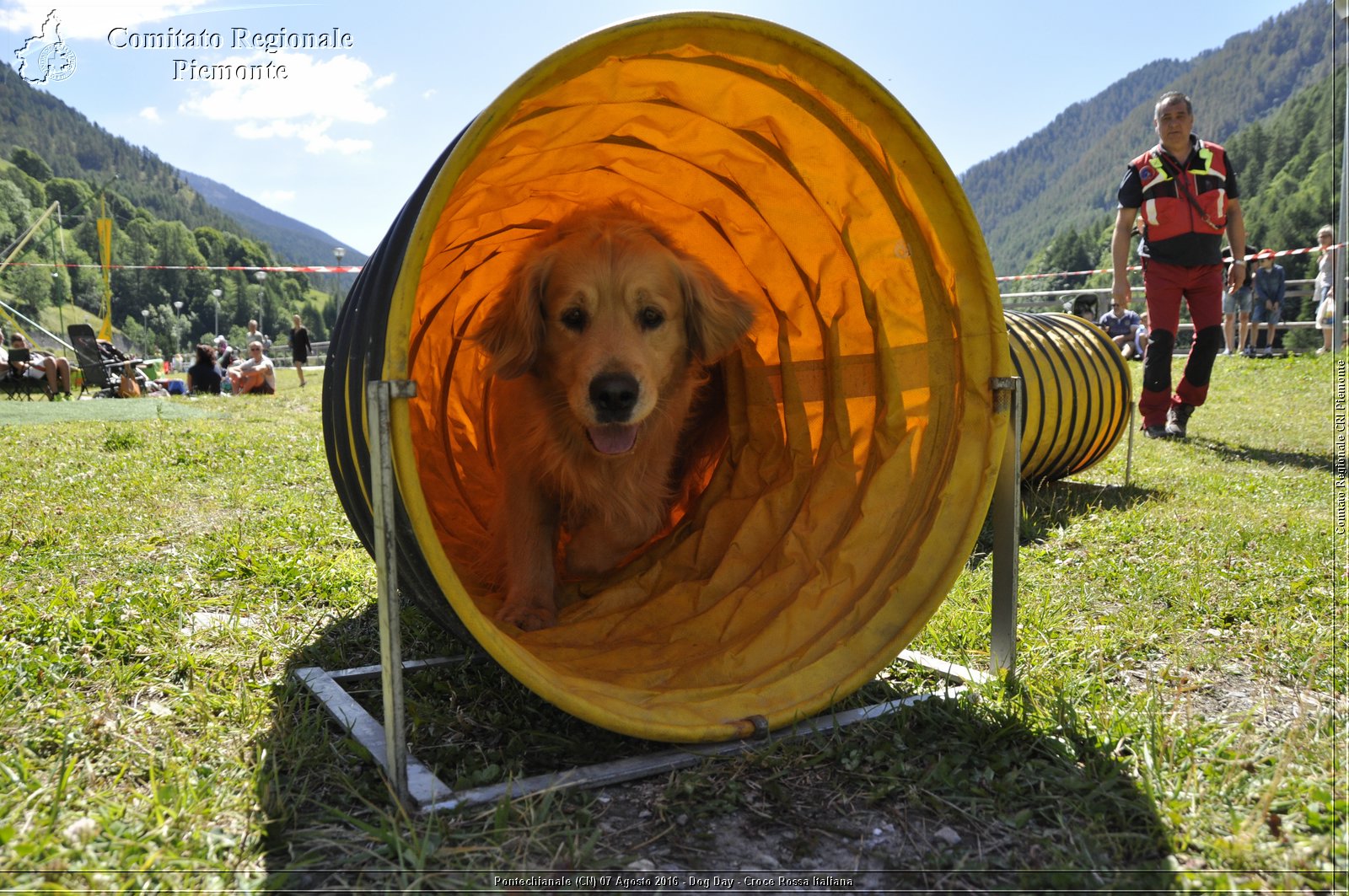 Pontechianale (CN) 7 Agosto 2016 - Dog Day - Croce Rossa Italiana - Comitato Regionale del Piemonte