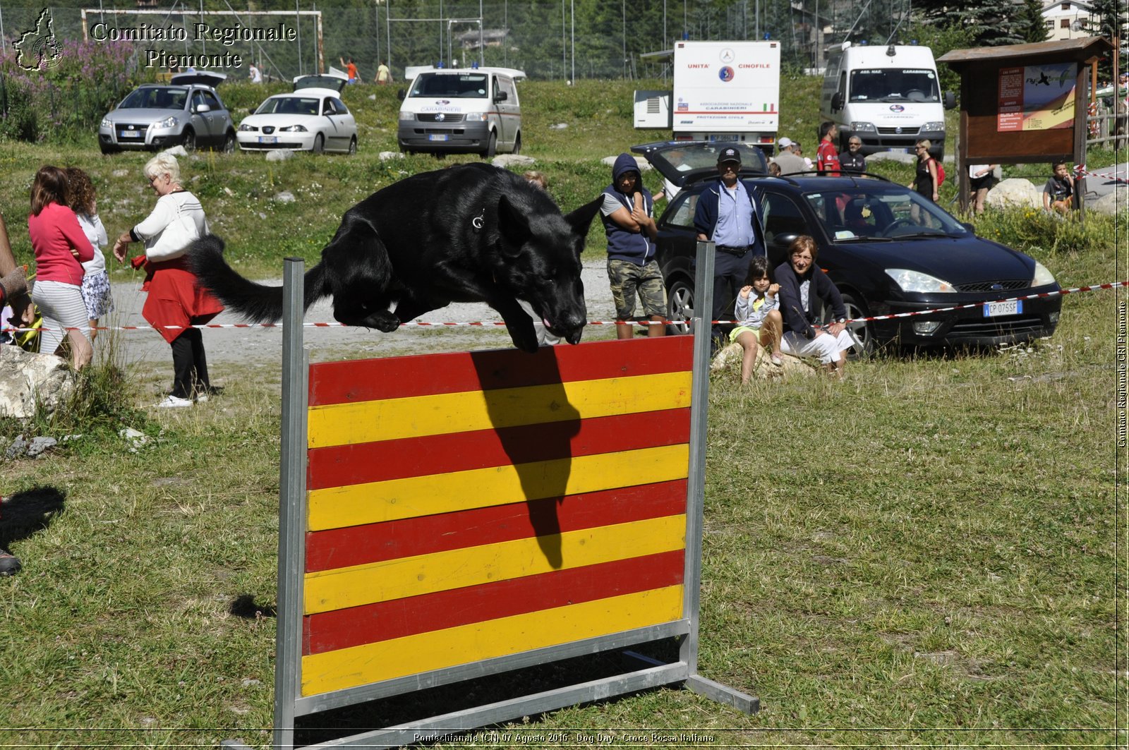 Pontechianale (CN) 7 Agosto 2016 - Dog Day - Croce Rossa Italiana - Comitato Regionale del Piemonte