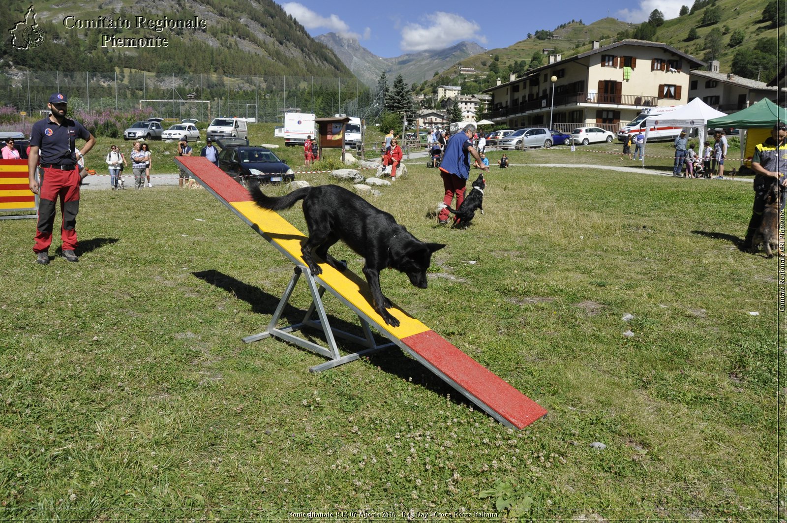 Pontechianale (CN) 7 Agosto 2016 - Dog Day - Croce Rossa Italiana - Comitato Regionale del Piemonte