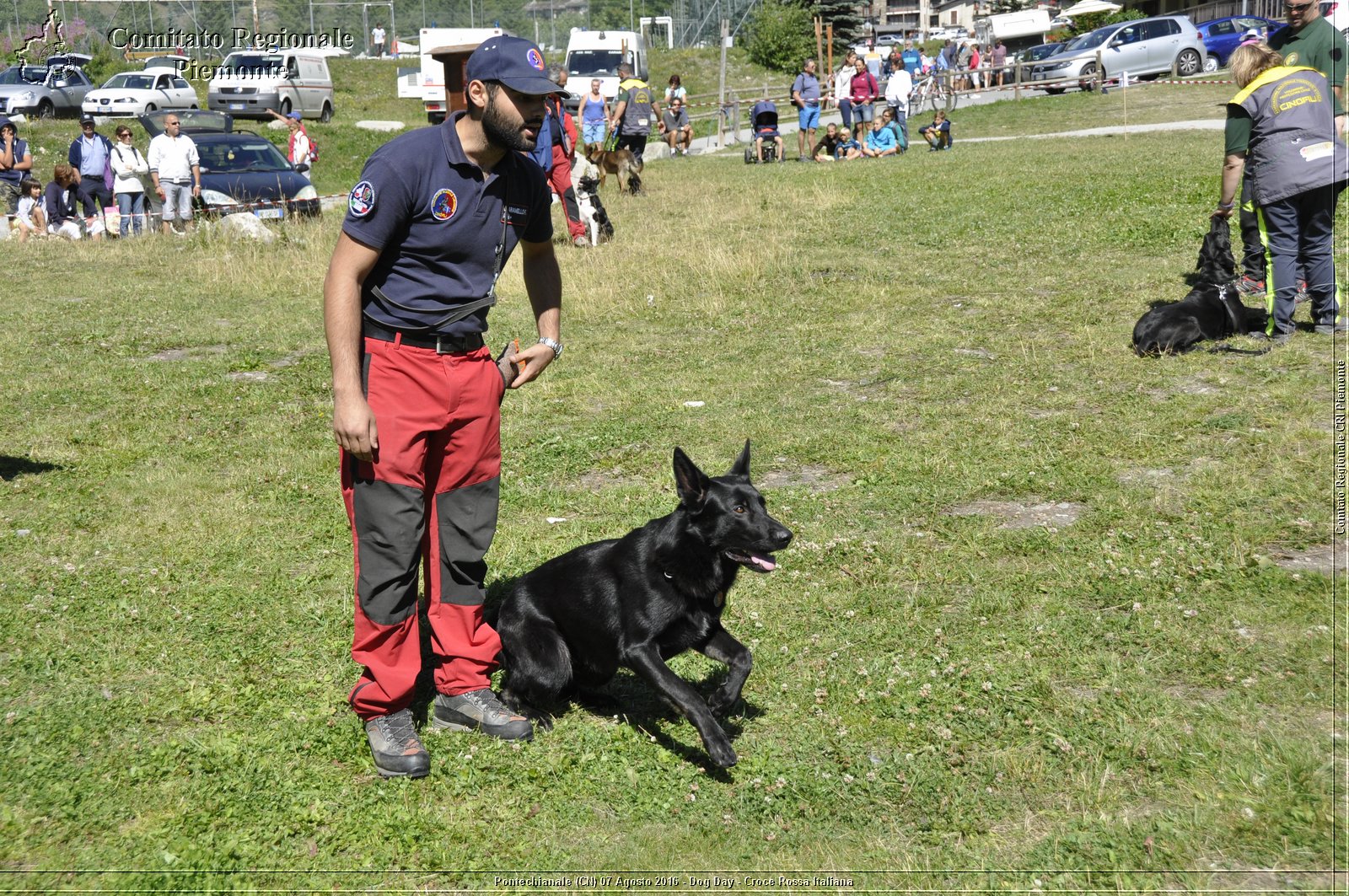 Pontechianale (CN) 7 Agosto 2016 - Dog Day - Croce Rossa Italiana - Comitato Regionale del Piemonte