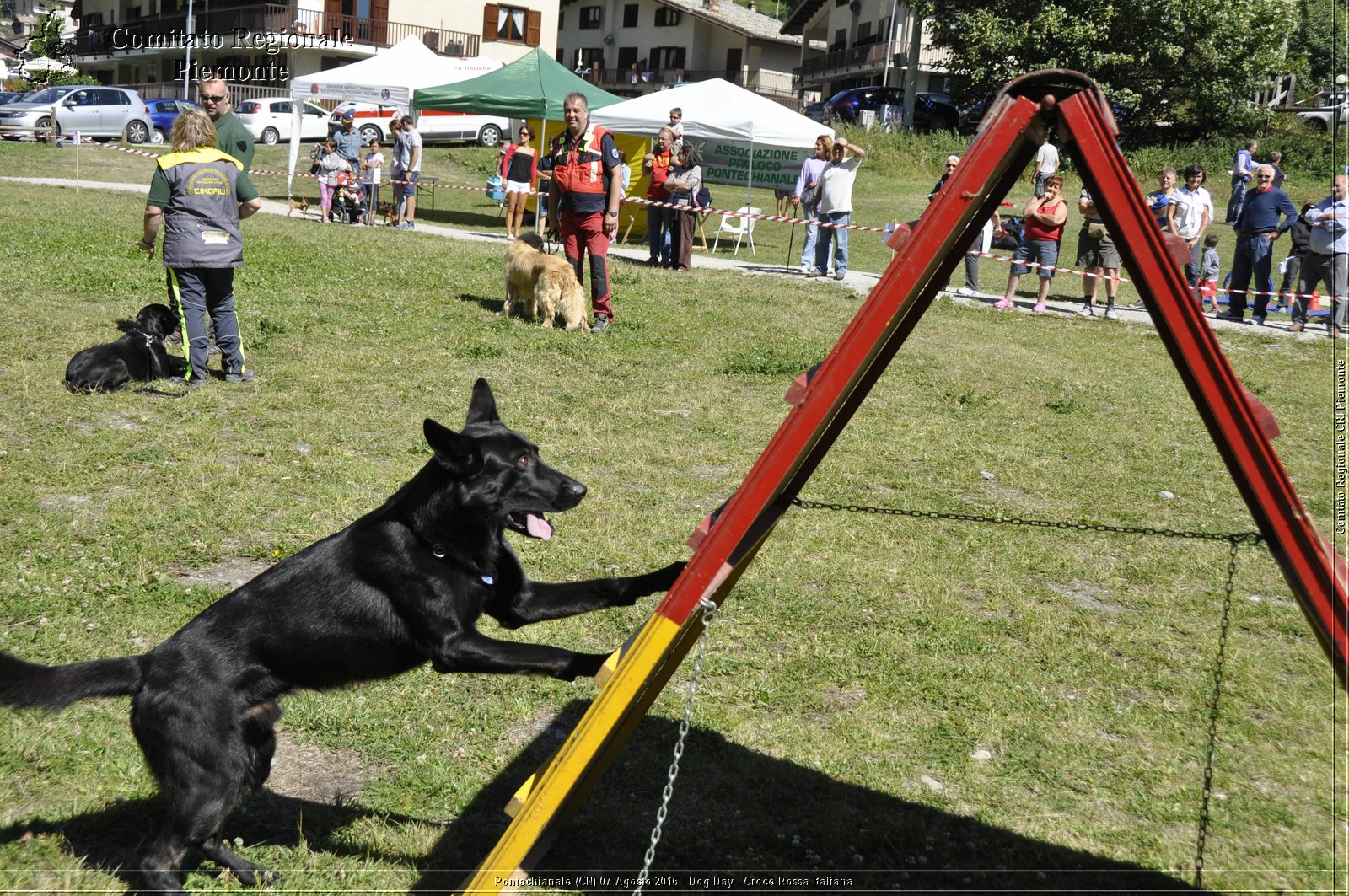 Pontechianale (CN) 7 Agosto 2016 - Dog Day - Croce Rossa Italiana - Comitato Regionale del Piemonte