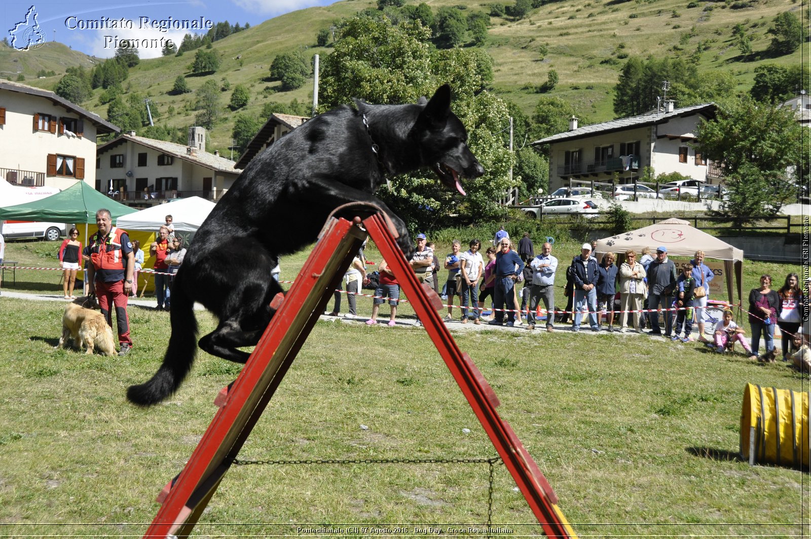 Pontechianale (CN) 7 Agosto 2016 - Dog Day - Croce Rossa Italiana - Comitato Regionale del Piemonte