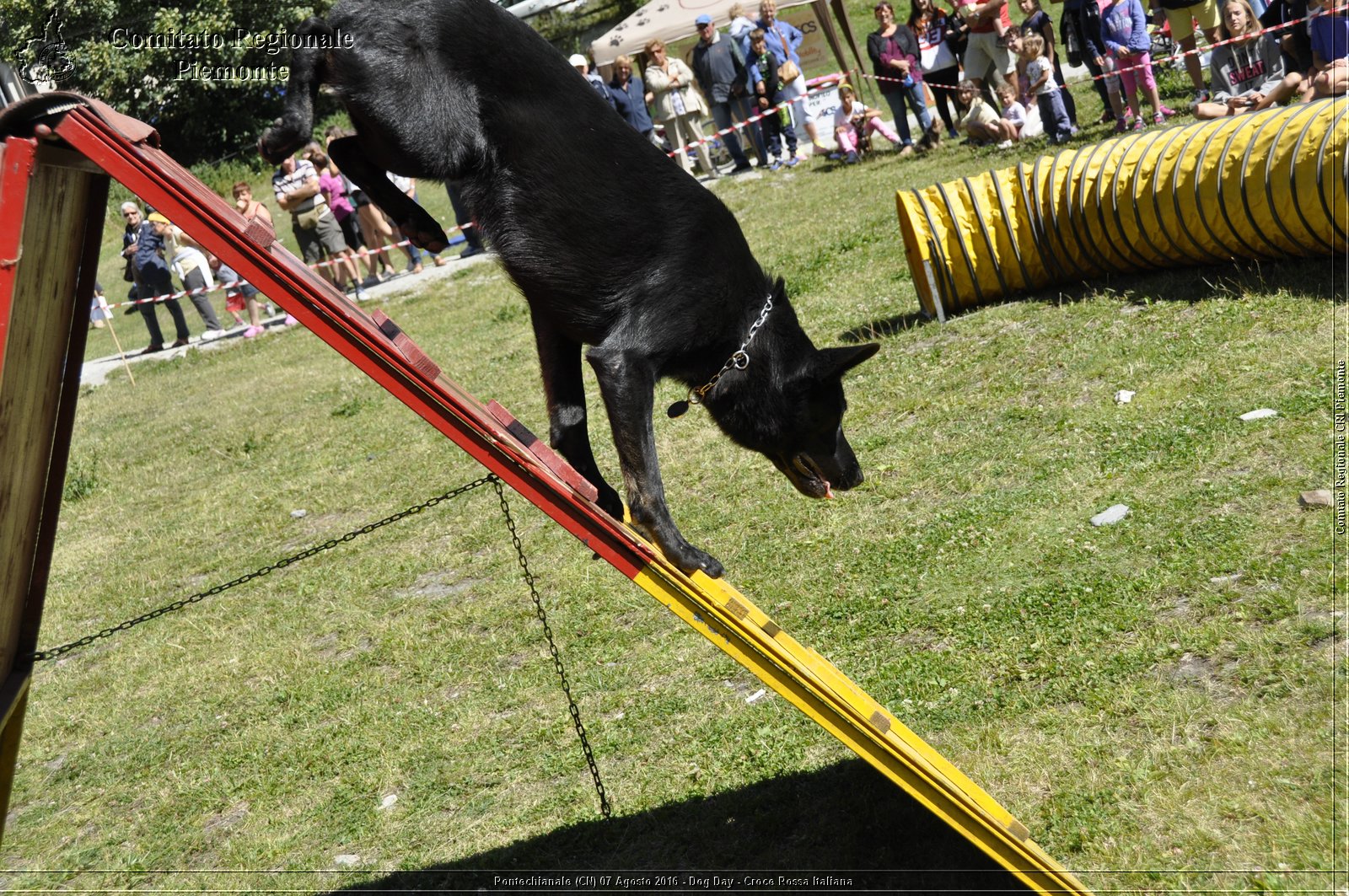 Pontechianale (CN) 7 Agosto 2016 - Dog Day - Croce Rossa Italiana - Comitato Regionale del Piemonte