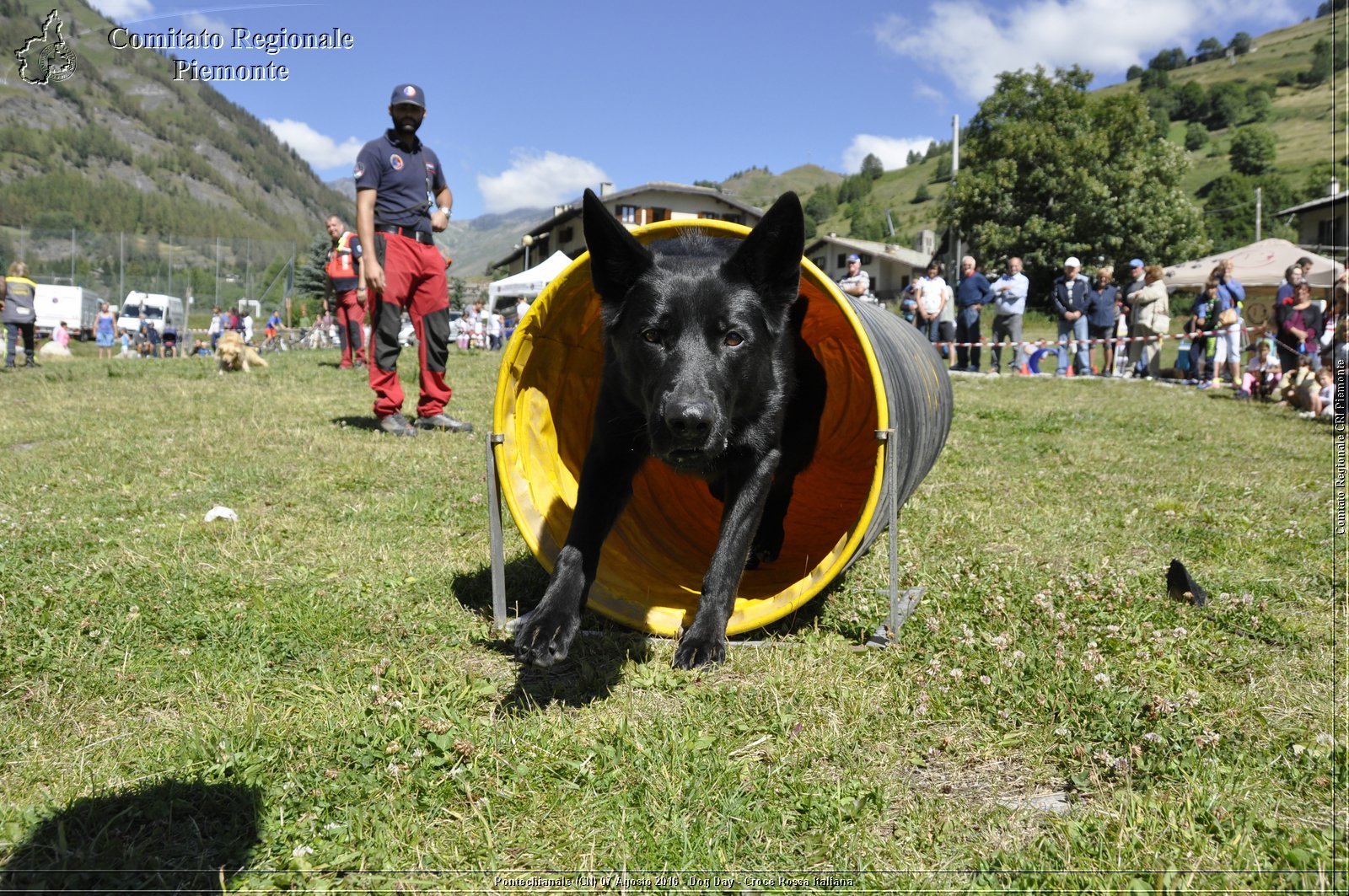 Pontechianale (CN) 7 Agosto 2016 - Dog Day - Croce Rossa Italiana - Comitato Regionale del Piemonte