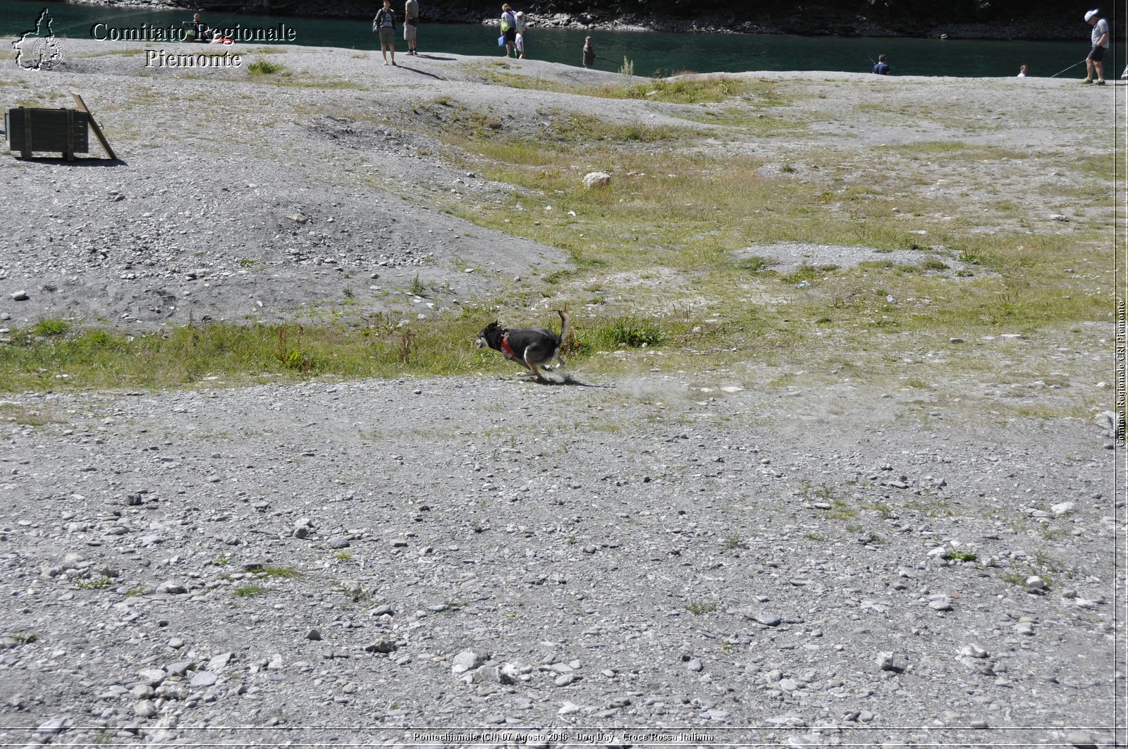 Pontechianale (CN) 7 Agosto 2016 - Dog Day - Croce Rossa Italiana - Comitato Regionale del Piemonte