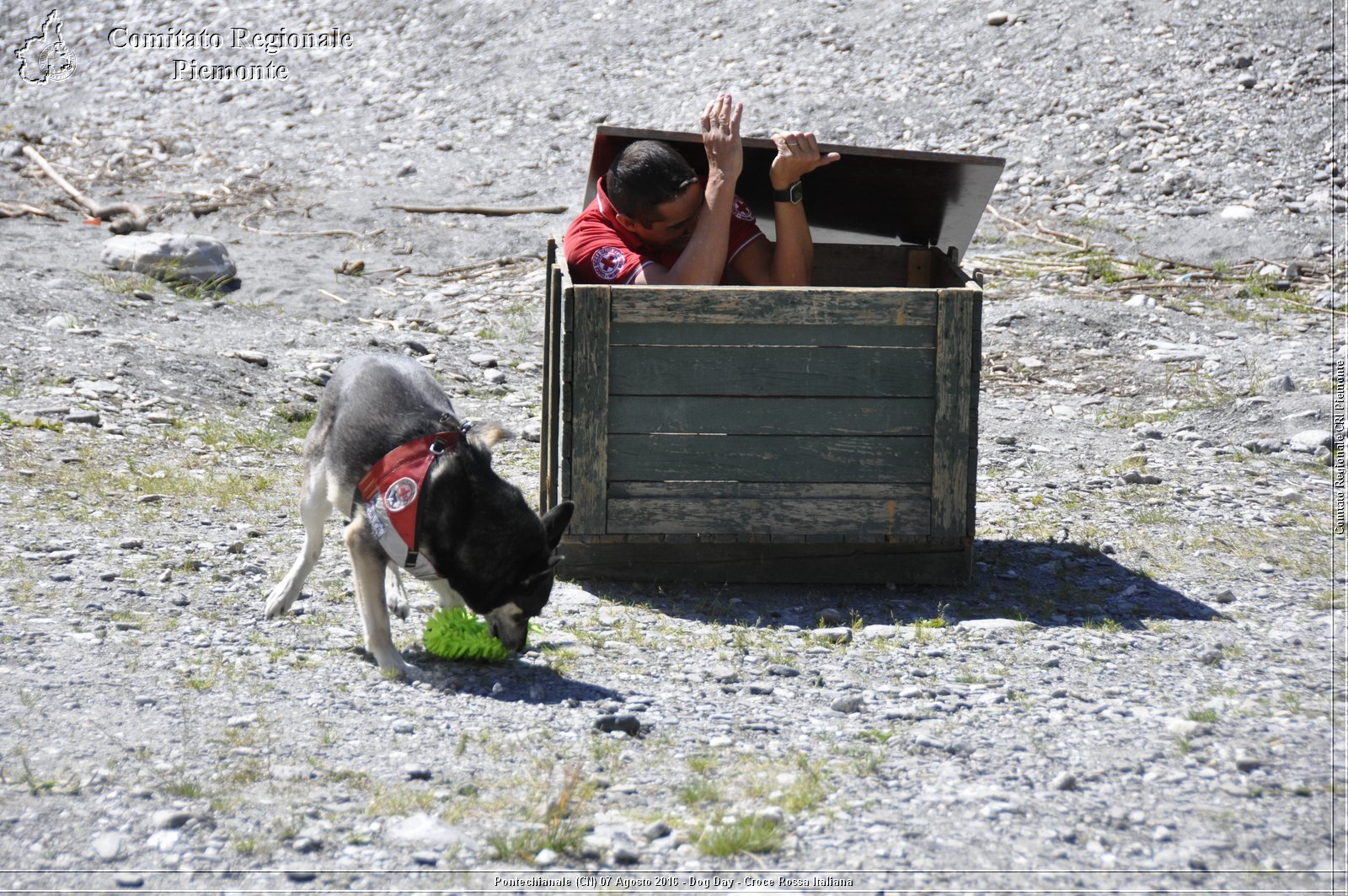 Pontechianale (CN) 7 Agosto 2016 - Dog Day - Croce Rossa Italiana - Comitato Regionale del Piemonte