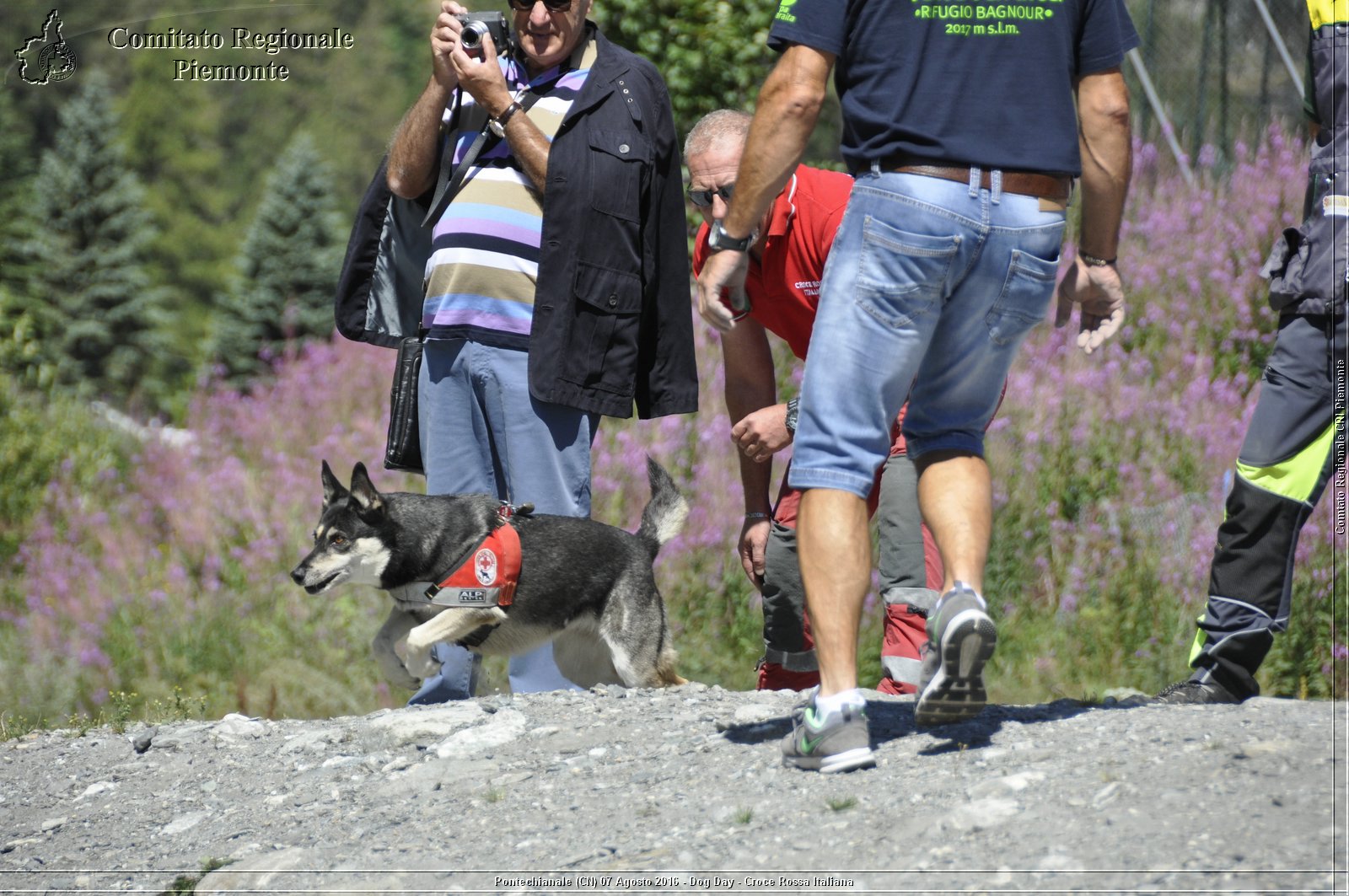 Pontechianale (CN) 7 Agosto 2016 - Dog Day - Croce Rossa Italiana - Comitato Regionale del Piemonte