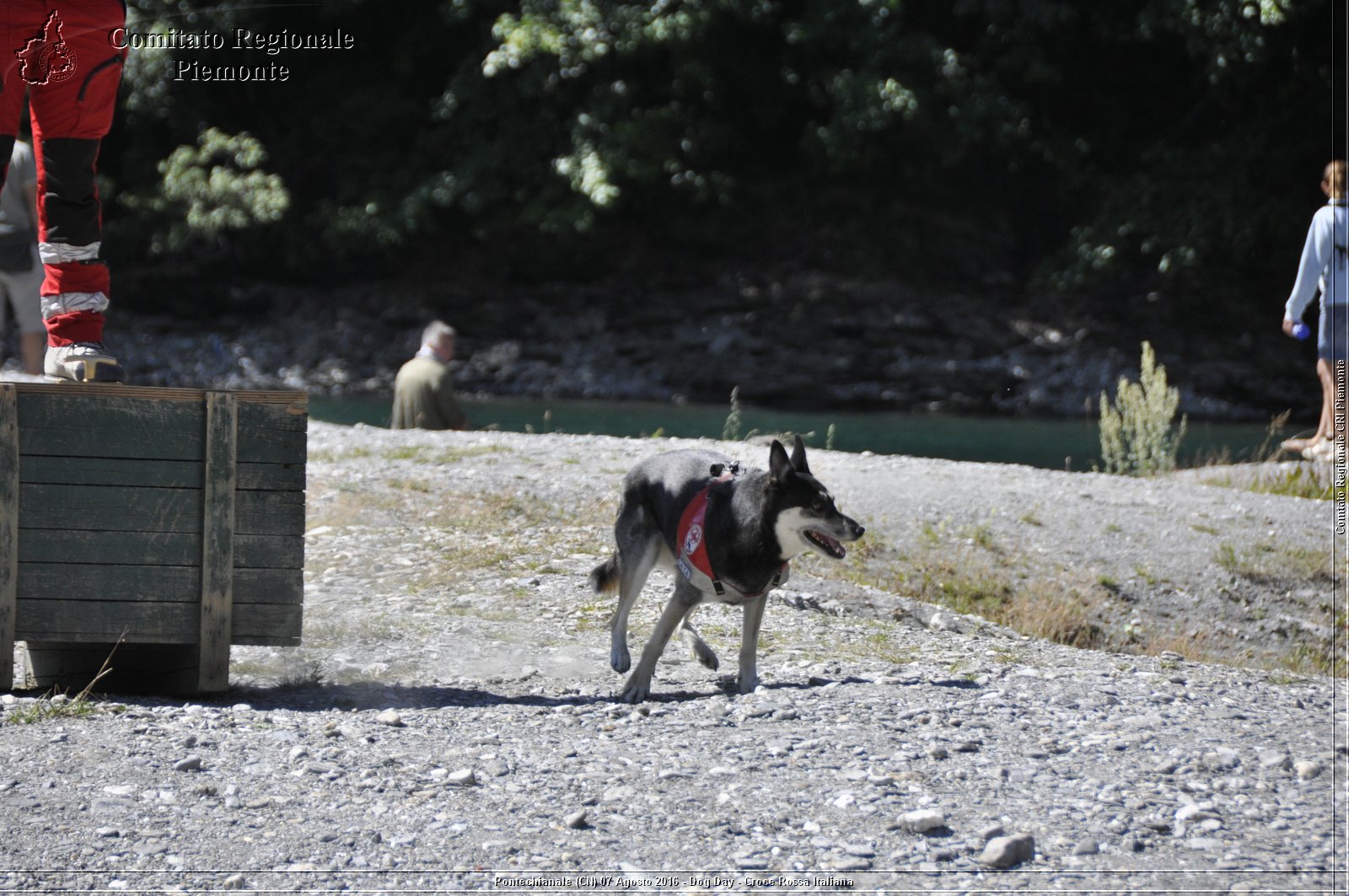 Pontechianale (CN) 7 Agosto 2016 - Dog Day - Croce Rossa Italiana - Comitato Regionale del Piemonte