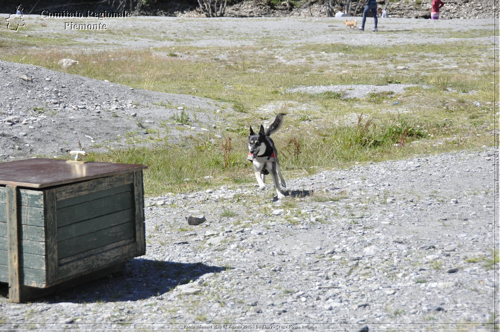 Pontechianale (CN) 7 Agosto 2016 - Dog Day - Croce Rossa Italiana - Comitato Regionale del Piemonte