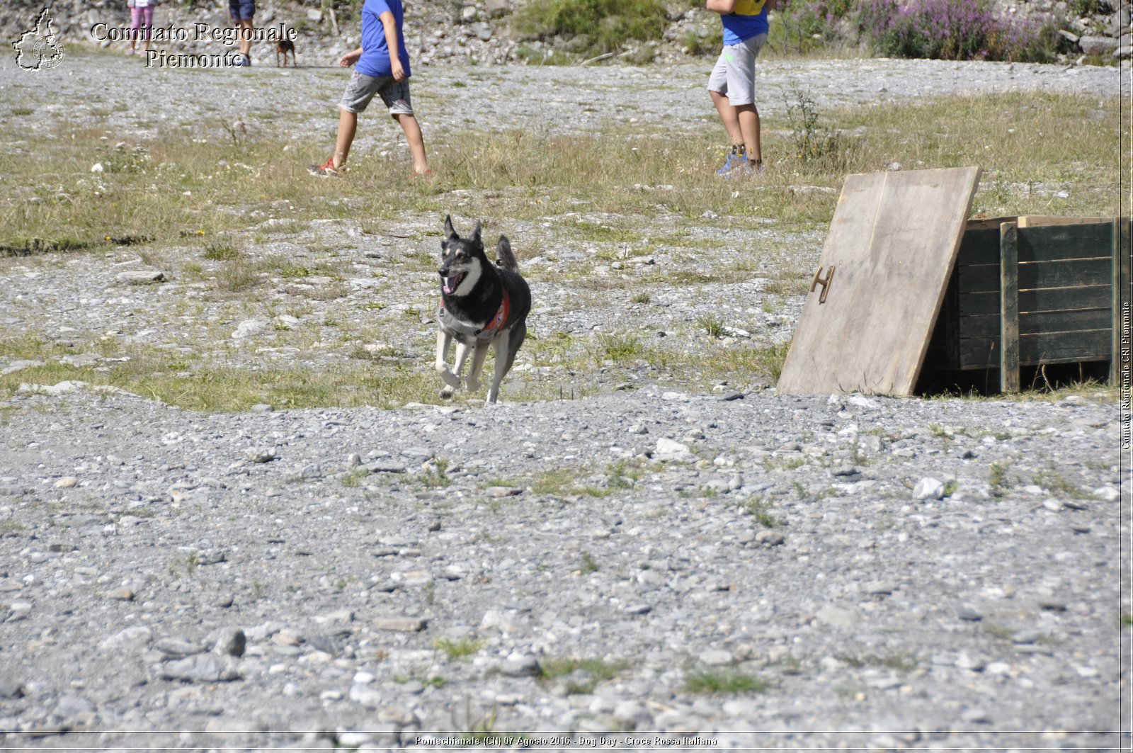 Pontechianale (CN) 7 Agosto 2016 - Dog Day - Croce Rossa Italiana - Comitato Regionale del Piemonte