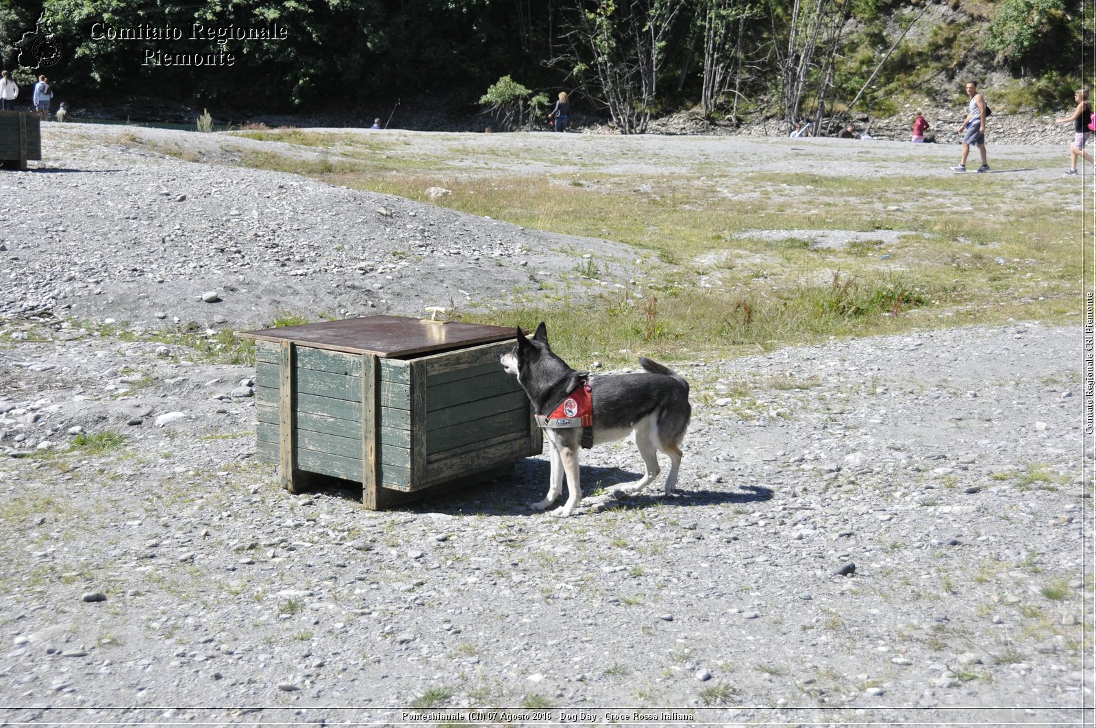 Pontechianale (CN) 7 Agosto 2016 - Dog Day - Croce Rossa Italiana - Comitato Regionale del Piemonte