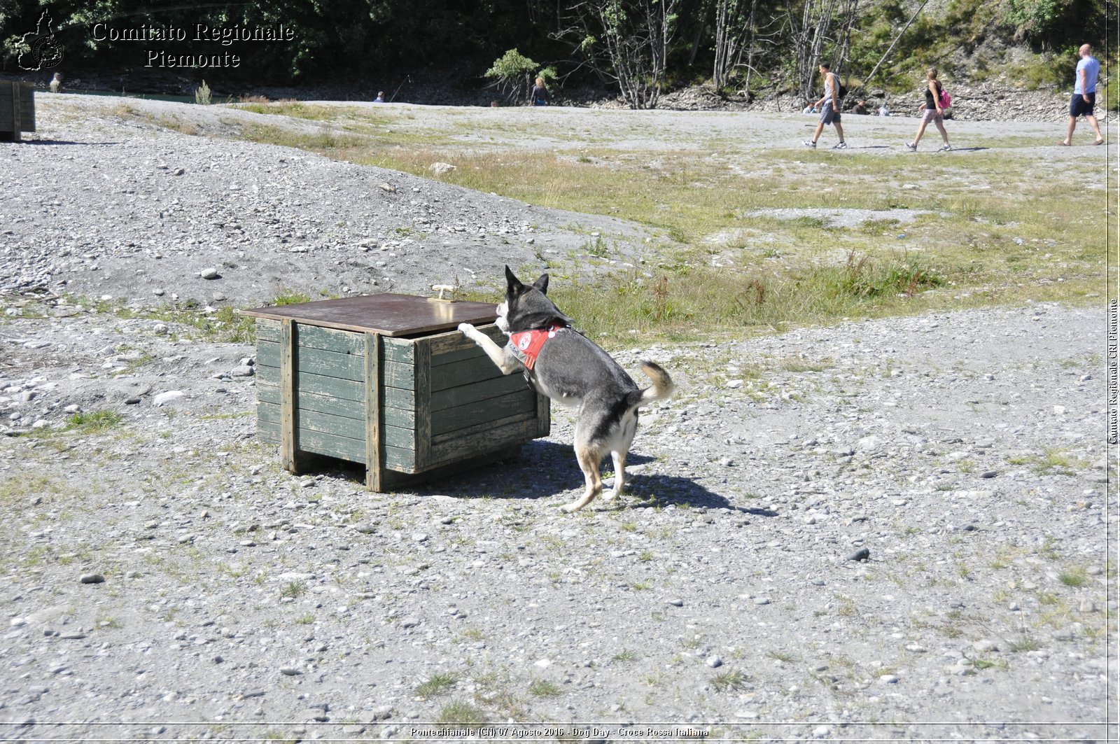 Pontechianale (CN) 7 Agosto 2016 - Dog Day - Croce Rossa Italiana - Comitato Regionale del Piemonte