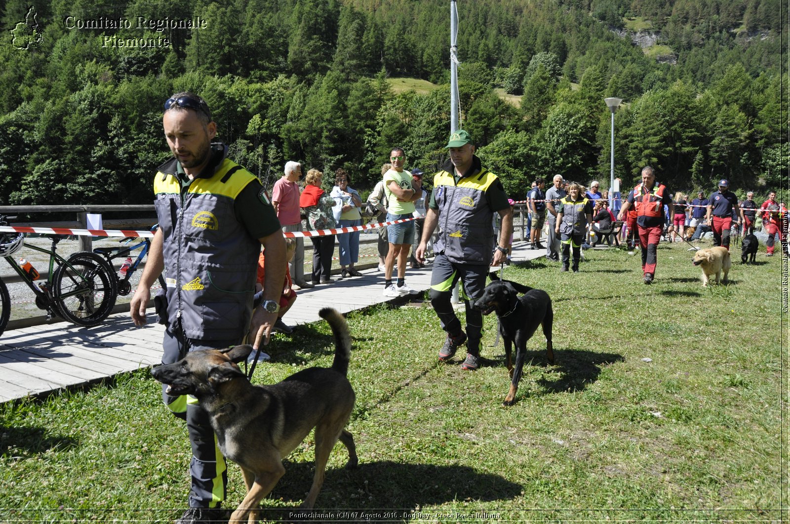 Pontechianale (CN) 7 Agosto 2016 - Dog Day - Croce Rossa Italiana - Comitato Regionale del Piemonte