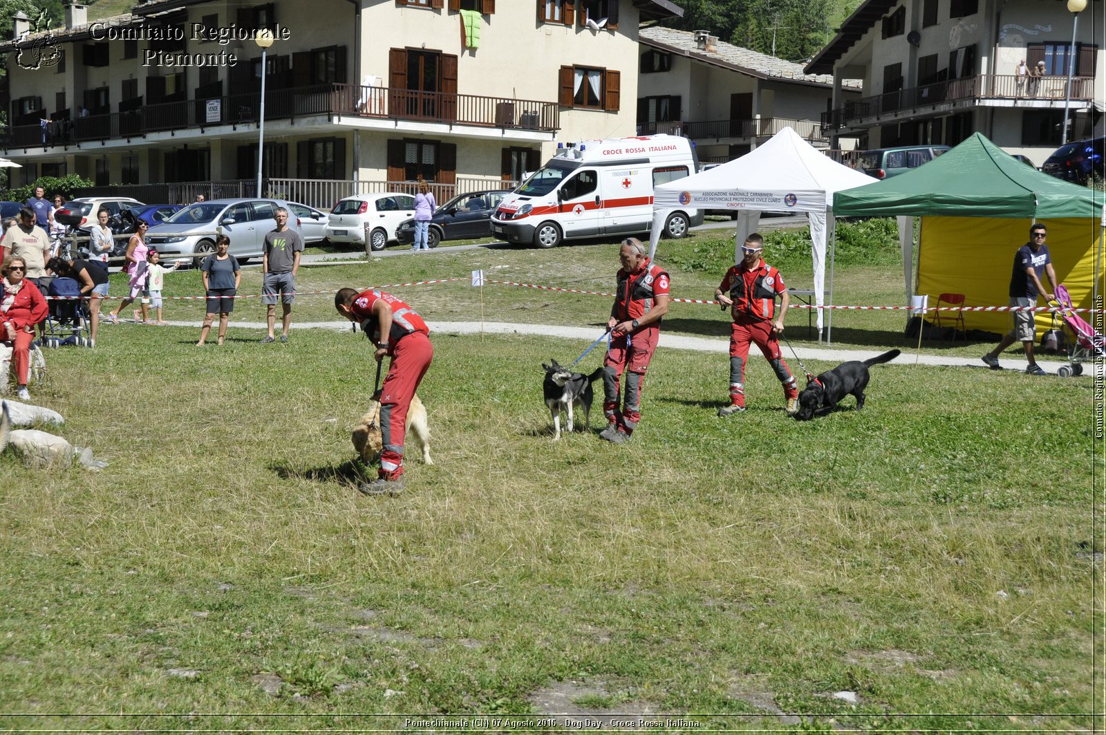 Pontechianale (CN) 7 Agosto 2016 - Dog Day - Croce Rossa Italiana - Comitato Regionale del Piemonte