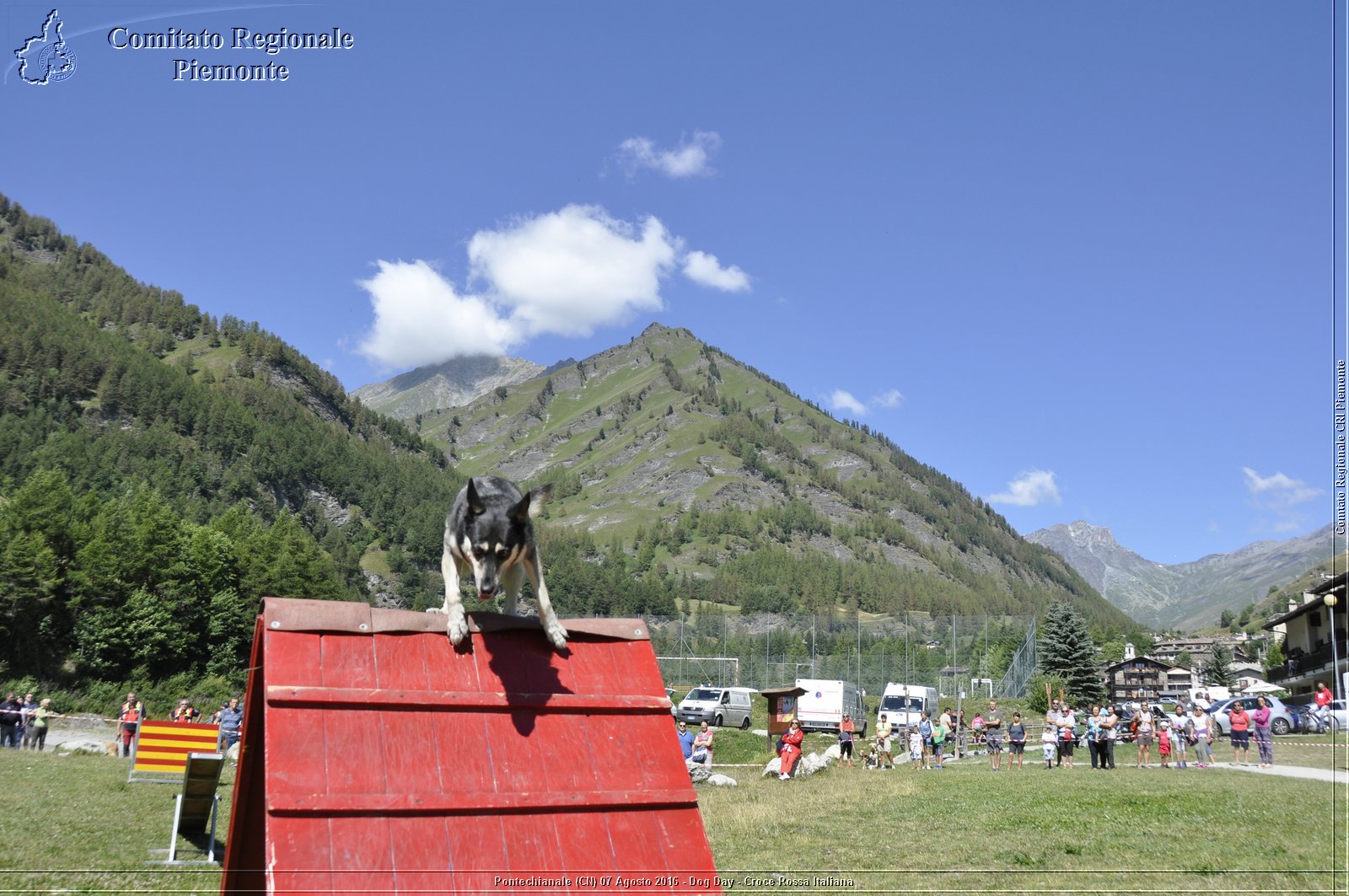 Pontechianale (CN) 7 Agosto 2016 - Dog Day - Croce Rossa Italiana - Comitato Regionale del Piemonte