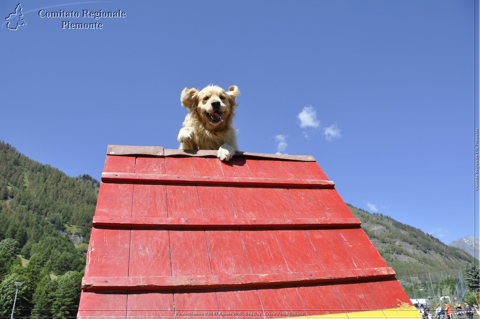 Pontechianale (CN) 7 Agosto 2016 - Dog Day - Croce Rossa Italiana - Comitato Regionale del Piemonte