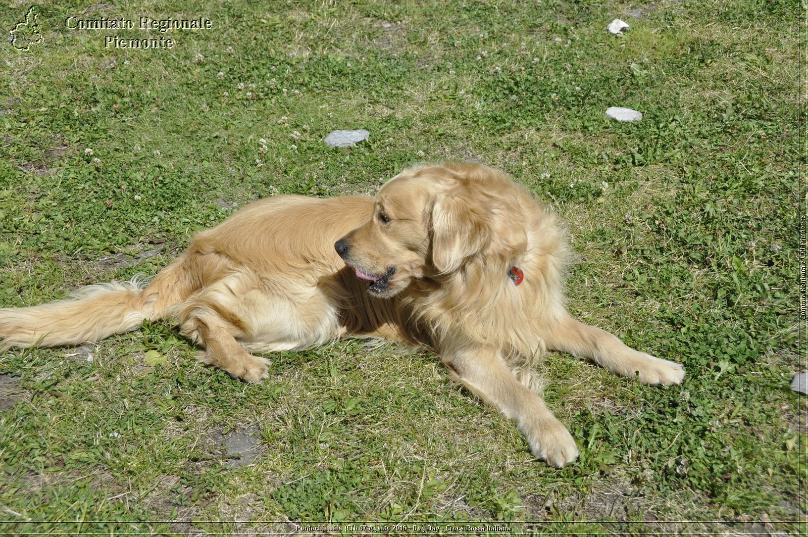 Pontechianale (CN) 7 Agosto 2016 - Dog Day - Croce Rossa Italiana - Comitato Regionale del Piemonte