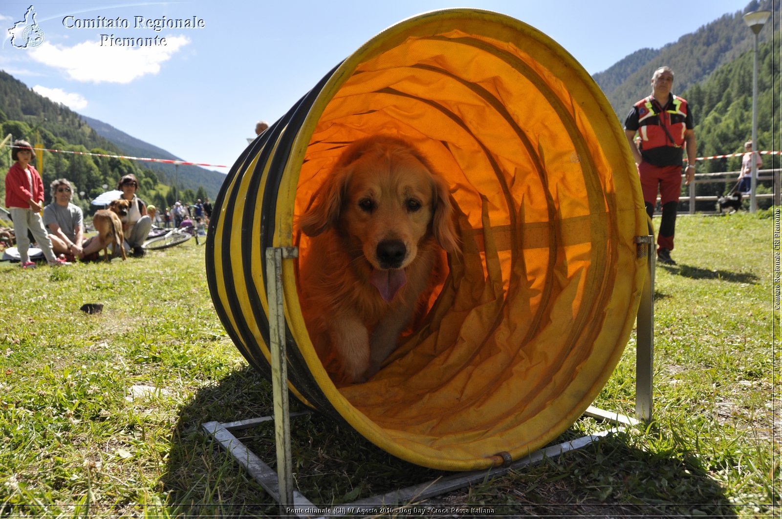 Pontechianale (CN) 7 Agosto 2016 - Dog Day - Croce Rossa Italiana - Comitato Regionale del Piemonte