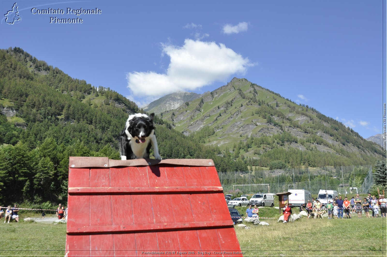 Pontechianale (CN) 7 Agosto 2016 - Dog Day - Croce Rossa Italiana - Comitato Regionale del Piemonte