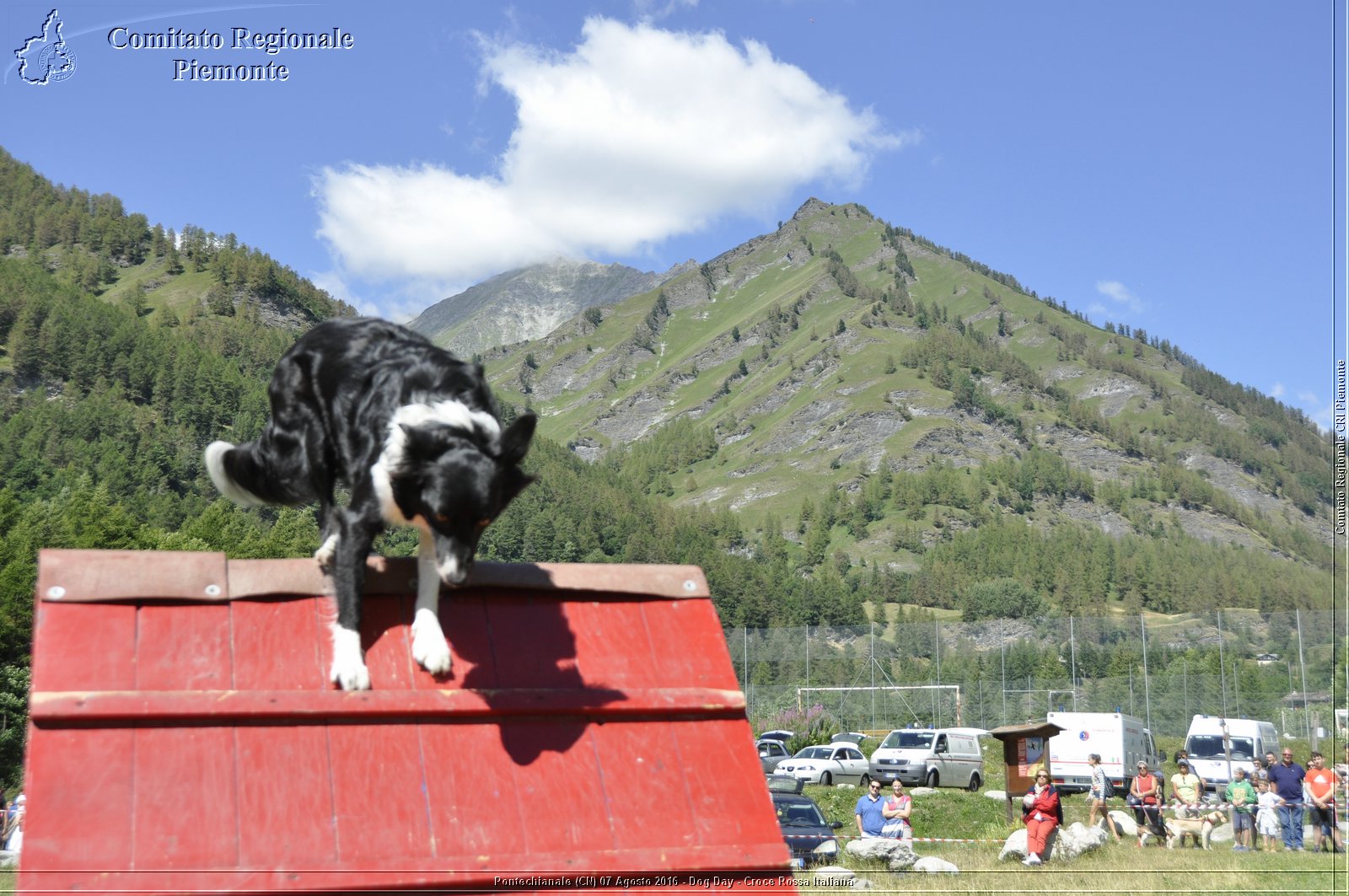 Pontechianale (CN) 7 Agosto 2016 - Dog Day - Croce Rossa Italiana - Comitato Regionale del Piemonte