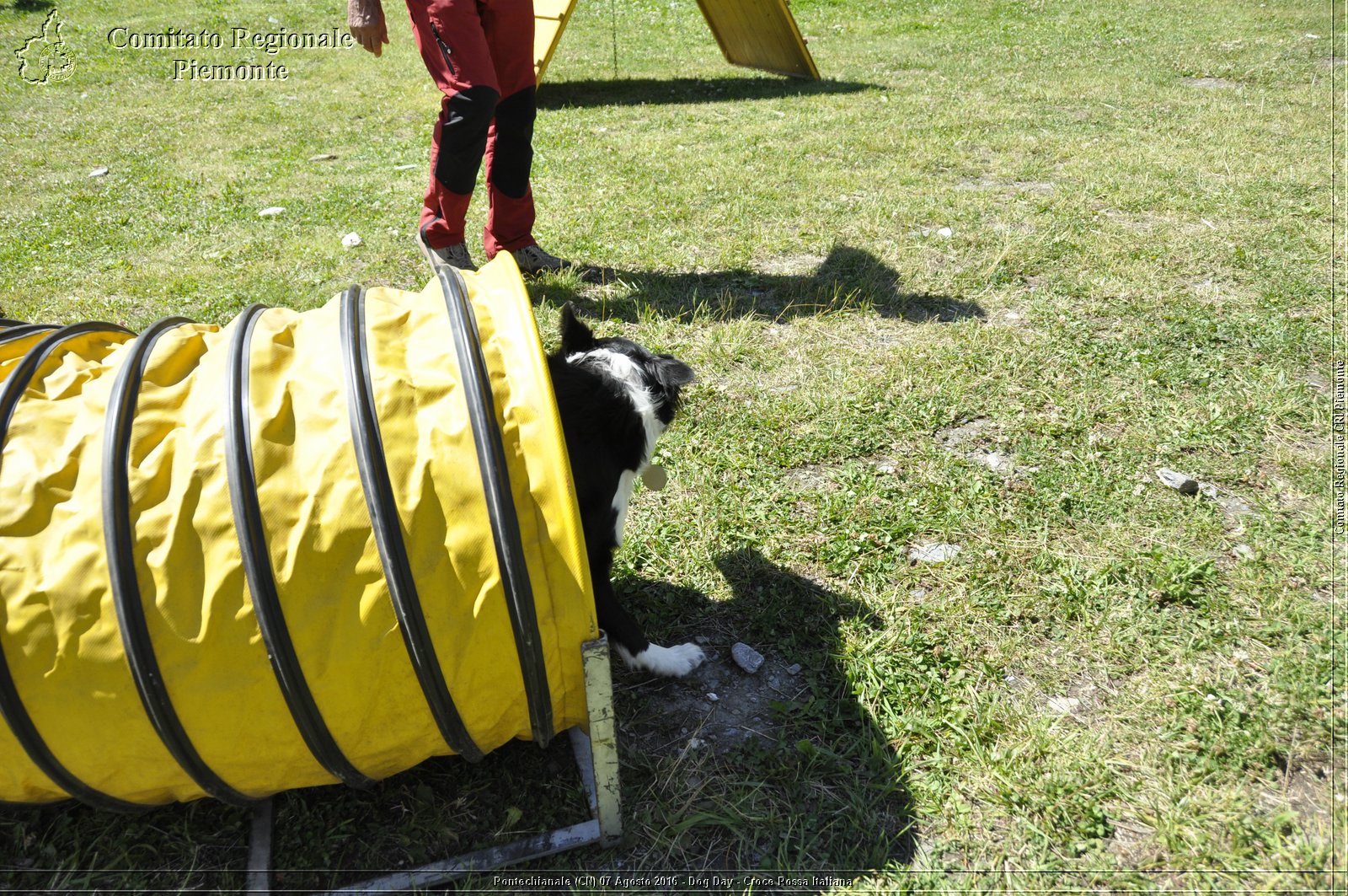 Pontechianale (CN) 7 Agosto 2016 - Dog Day - Croce Rossa Italiana - Comitato Regionale del Piemonte