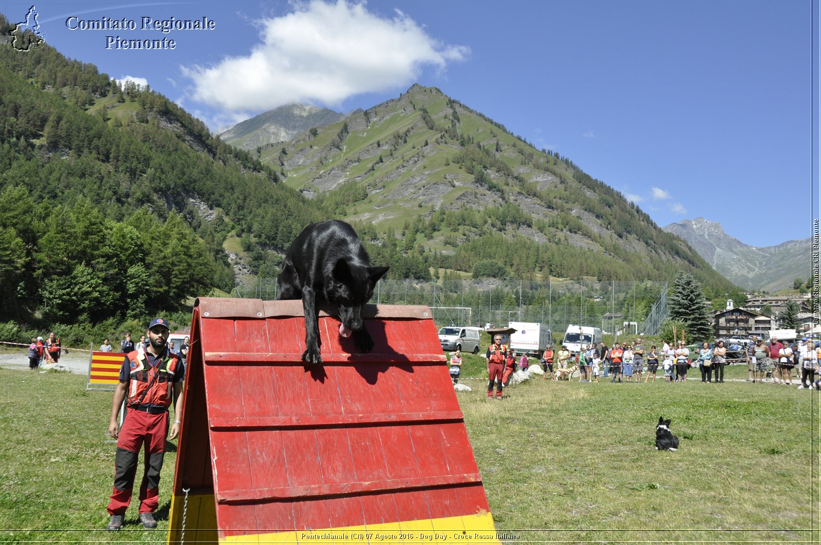 Pontechianale (CN) 7 Agosto 2016 - Dog Day - Croce Rossa Italiana - Comitato Regionale del Piemonte