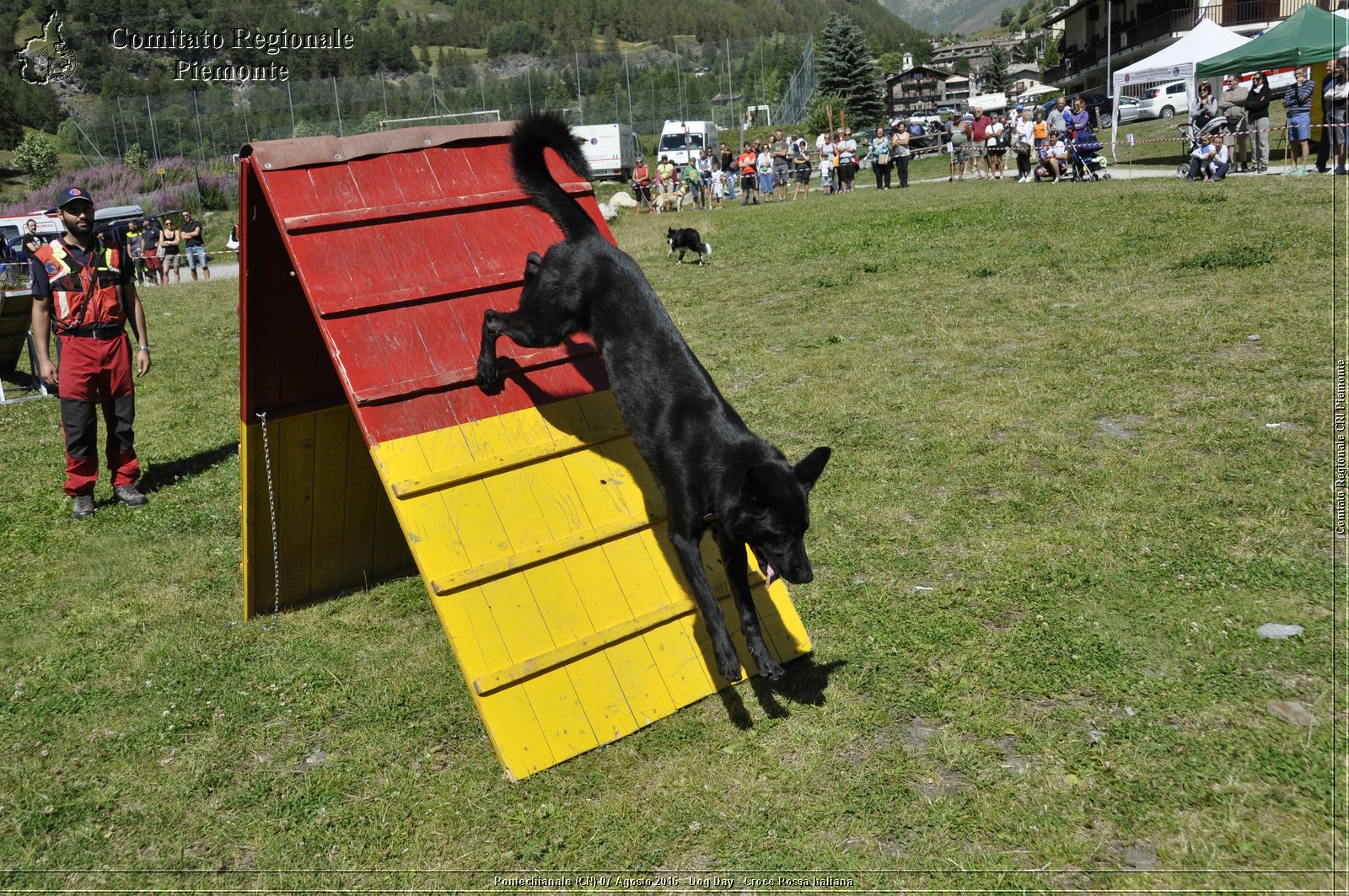 Pontechianale (CN) 7 Agosto 2016 - Dog Day - Croce Rossa Italiana - Comitato Regionale del Piemonte