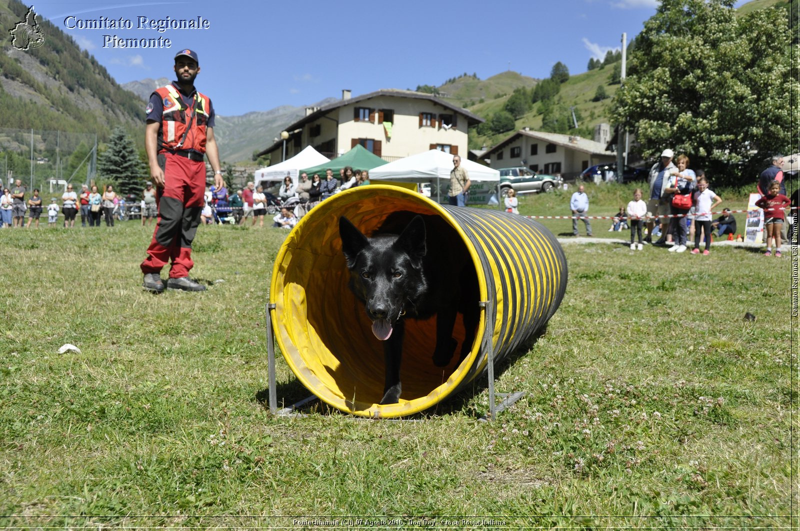 Pontechianale (CN) 7 Agosto 2016 - Dog Day - Croce Rossa Italiana - Comitato Regionale del Piemonte