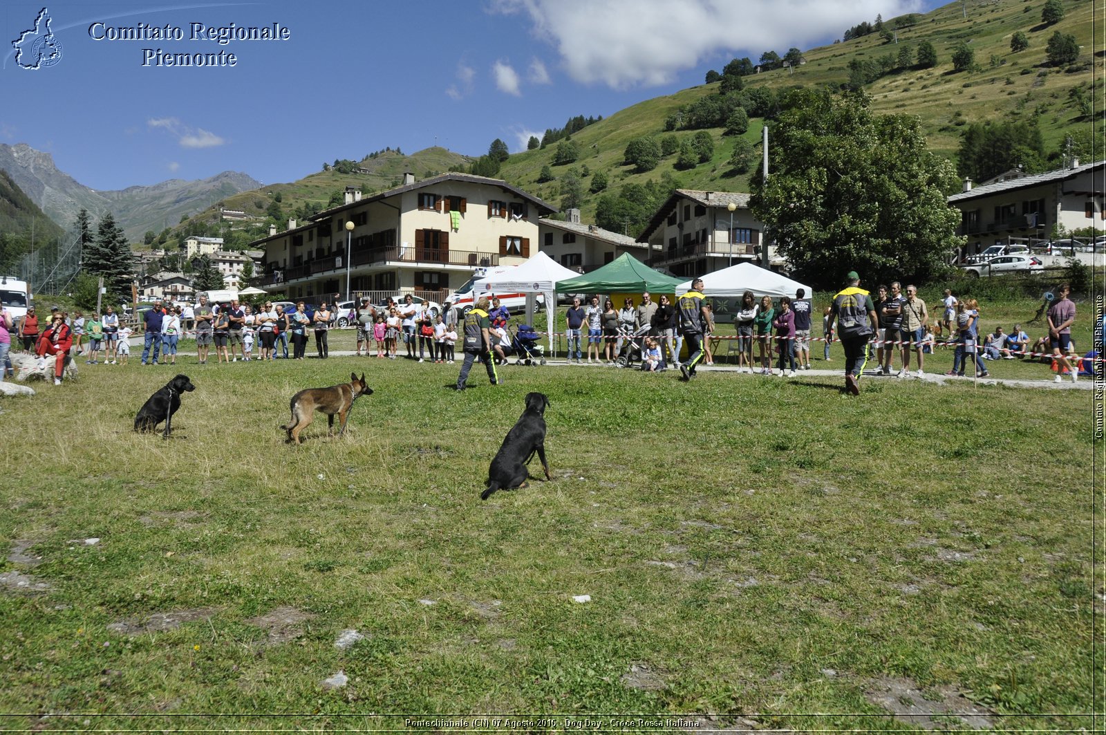 Pontechianale (CN) 7 Agosto 2016 - Dog Day - Croce Rossa Italiana - Comitato Regionale del Piemonte