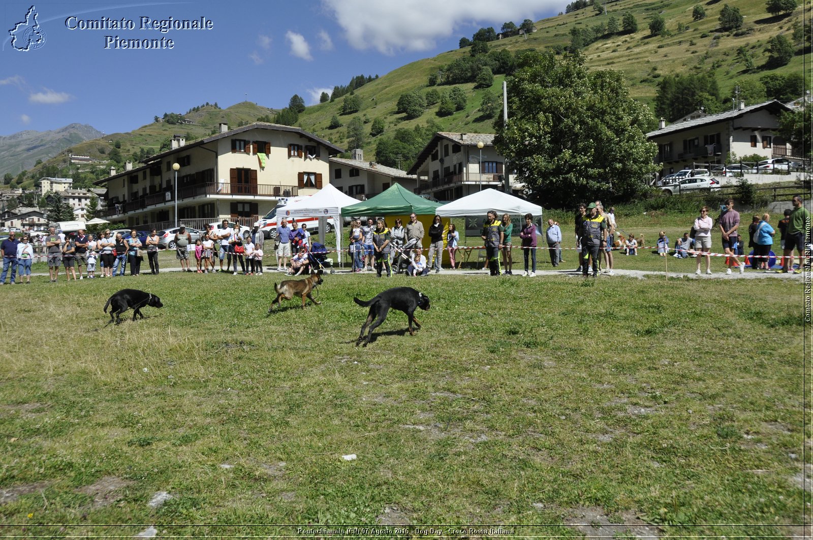 Pontechianale (CN) 7 Agosto 2016 - Dog Day - Croce Rossa Italiana - Comitato Regionale del Piemonte