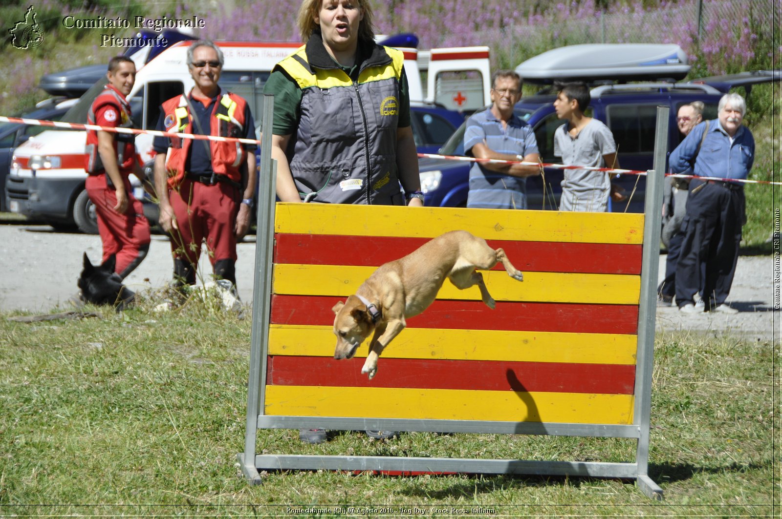 Pontechianale (CN) 7 Agosto 2016 - Dog Day - Croce Rossa Italiana - Comitato Regionale del Piemonte