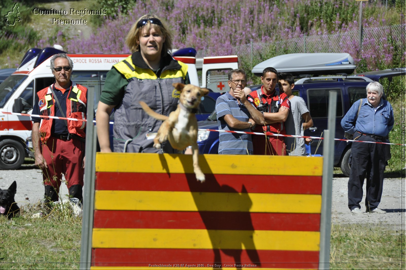 Pontechianale (CN) 7 Agosto 2016 - Dog Day - Croce Rossa Italiana - Comitato Regionale del Piemonte