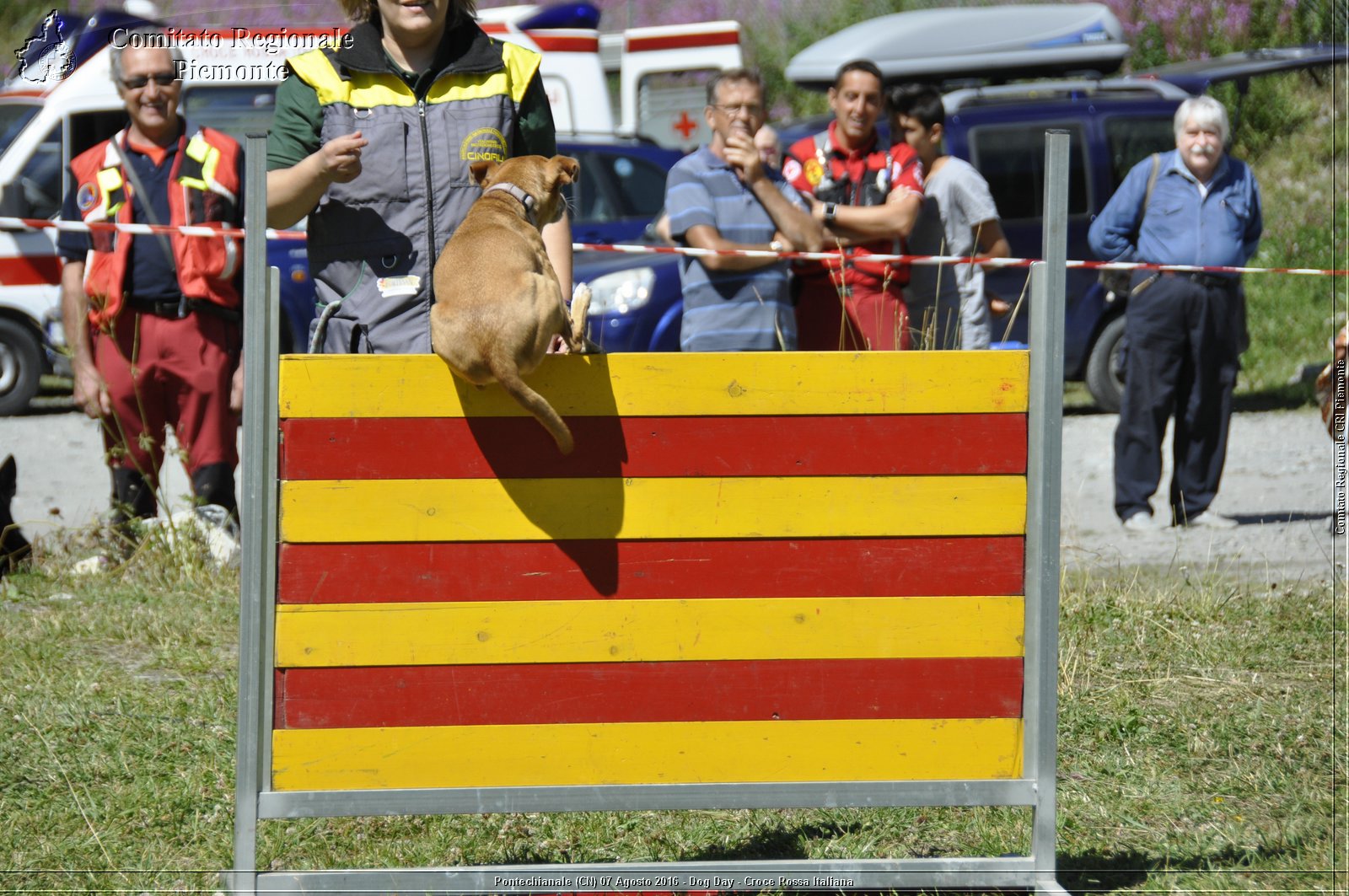 Pontechianale (CN) 7 Agosto 2016 - Dog Day - Croce Rossa Italiana - Comitato Regionale del Piemonte