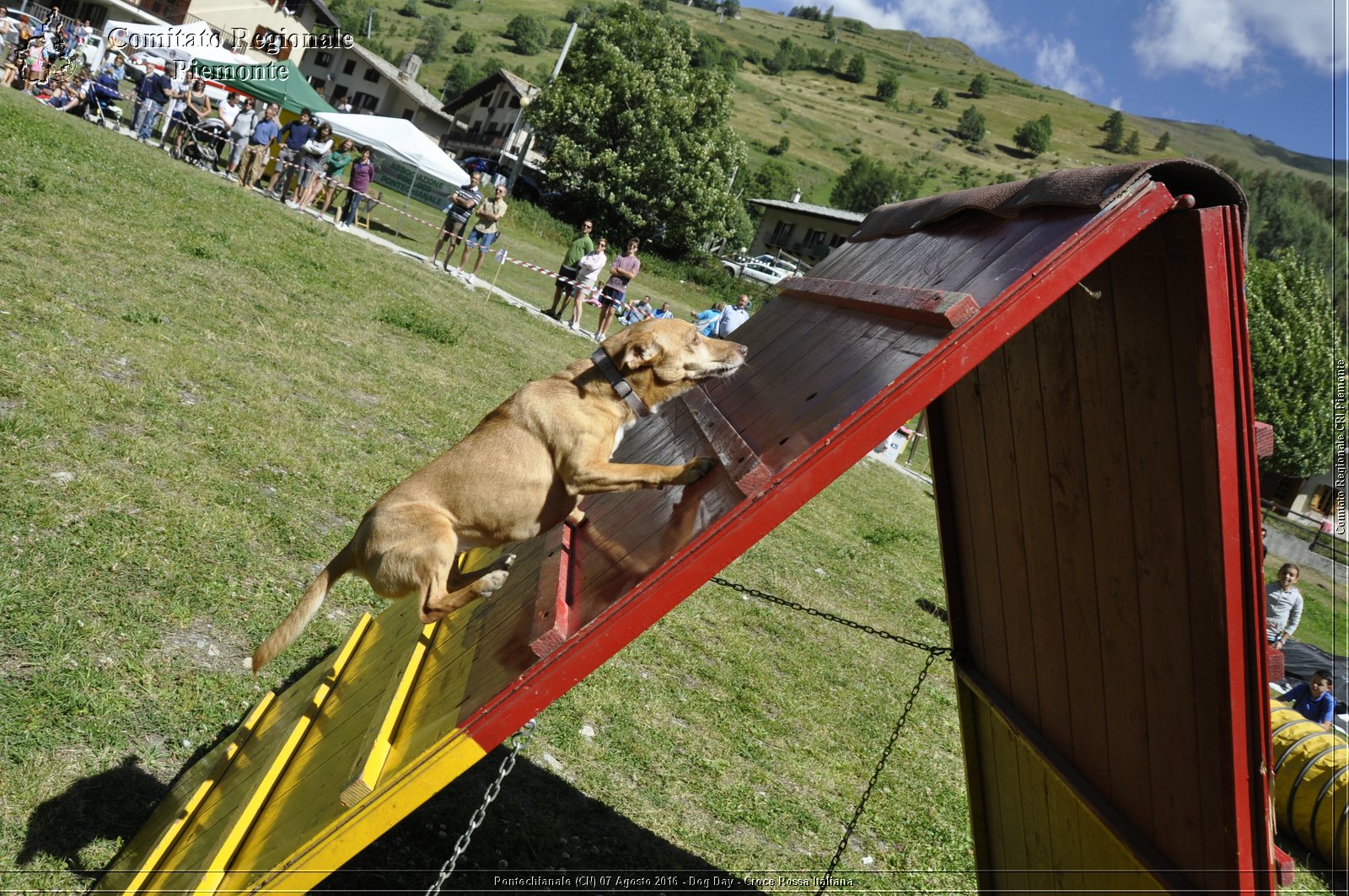 Pontechianale (CN) 7 Agosto 2016 - Dog Day - Croce Rossa Italiana - Comitato Regionale del Piemonte