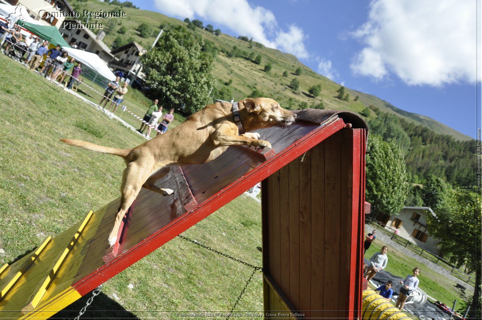 Pontechianale (CN) 7 Agosto 2016 - Dog Day - Croce Rossa Italiana - Comitato Regionale del Piemonte