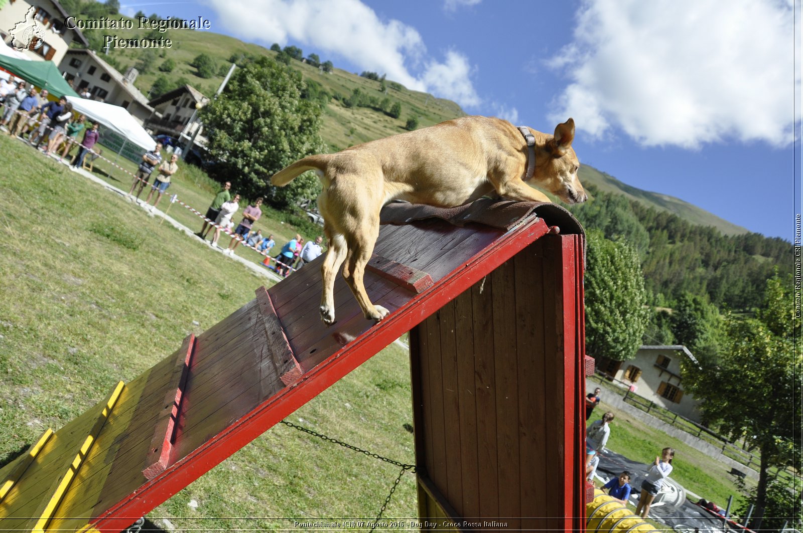 Pontechianale (CN) 7 Agosto 2016 - Dog Day - Croce Rossa Italiana - Comitato Regionale del Piemonte