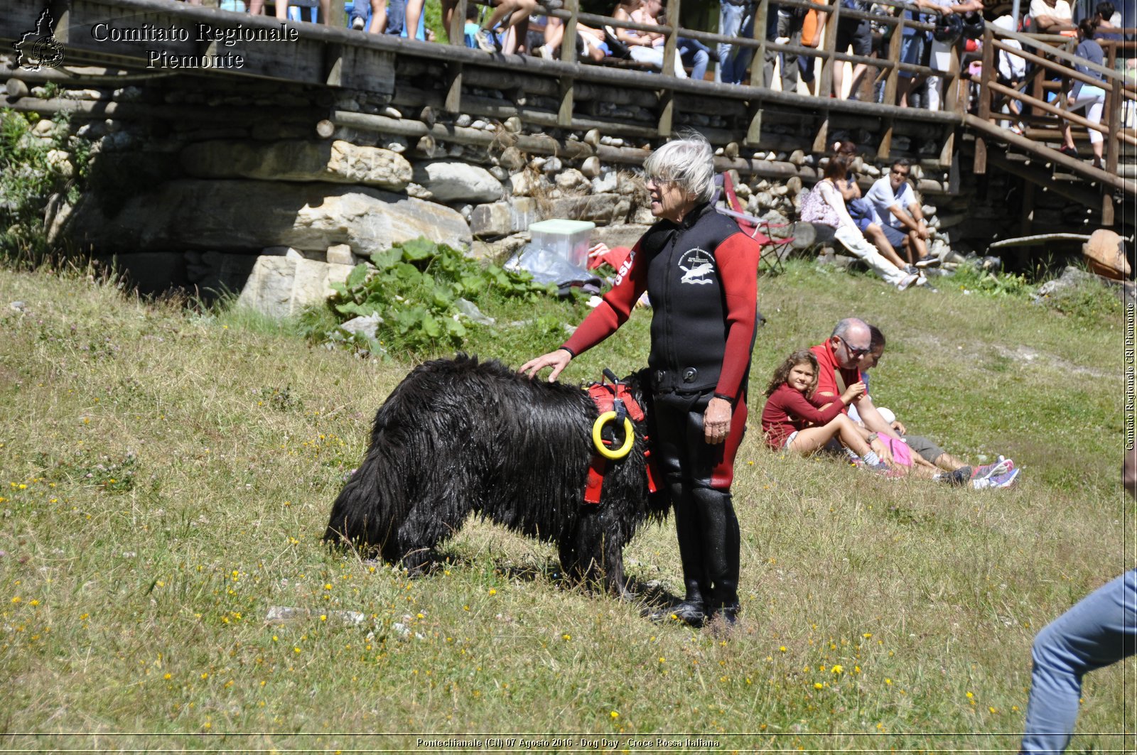 Pontechianale (CN) 7 Agosto 2016 - Dog Day - Croce Rossa Italiana - Comitato Regionale del Piemonte