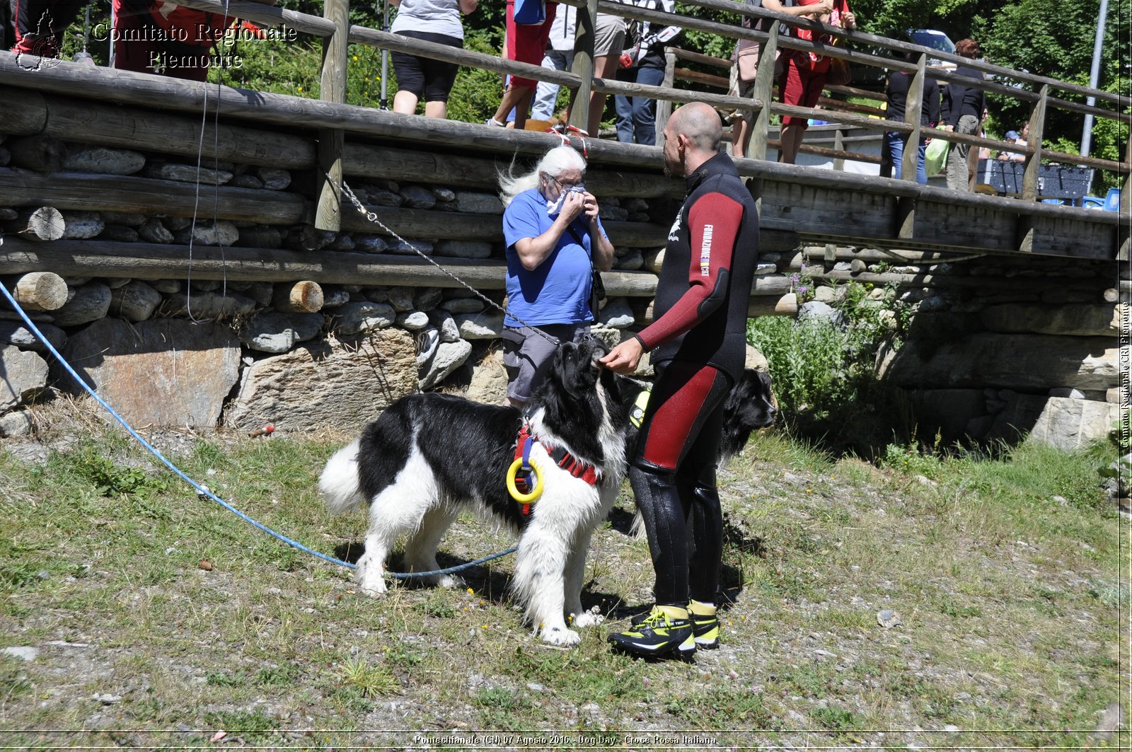 Pontechianale (CN) 7 Agosto 2016 - Dog Day - Croce Rossa Italiana - Comitato Regionale del Piemonte