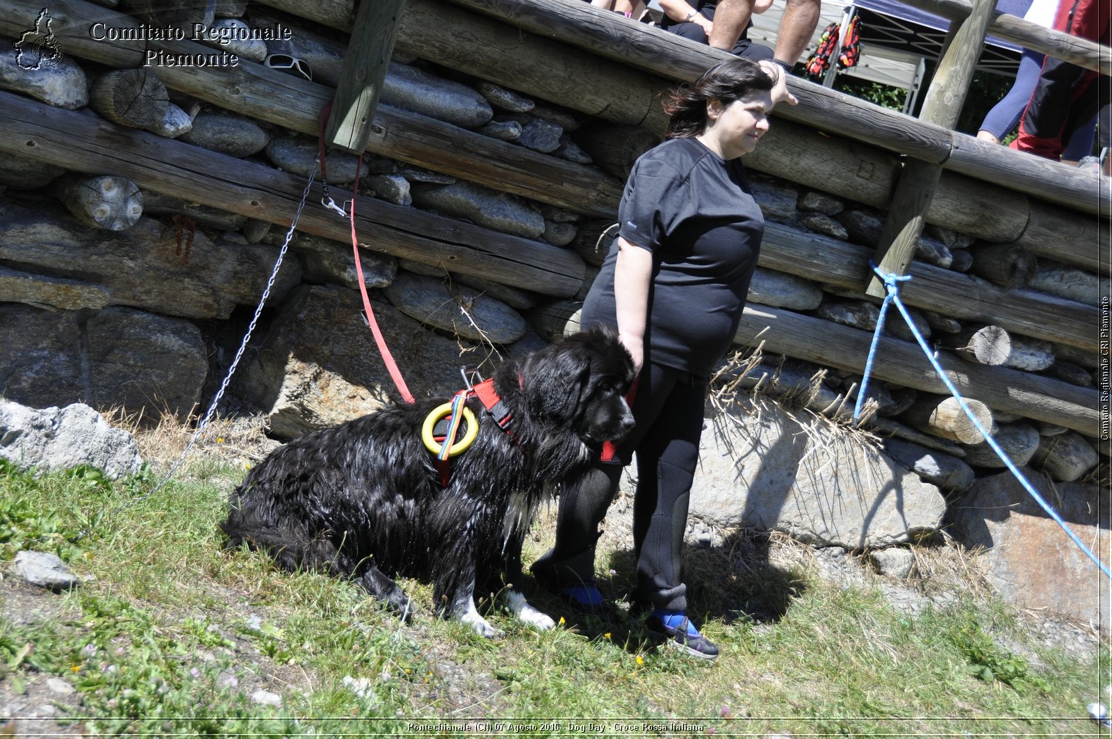 Pontechianale (CN) 7 Agosto 2016 - Dog Day - Croce Rossa Italiana - Comitato Regionale del Piemonte